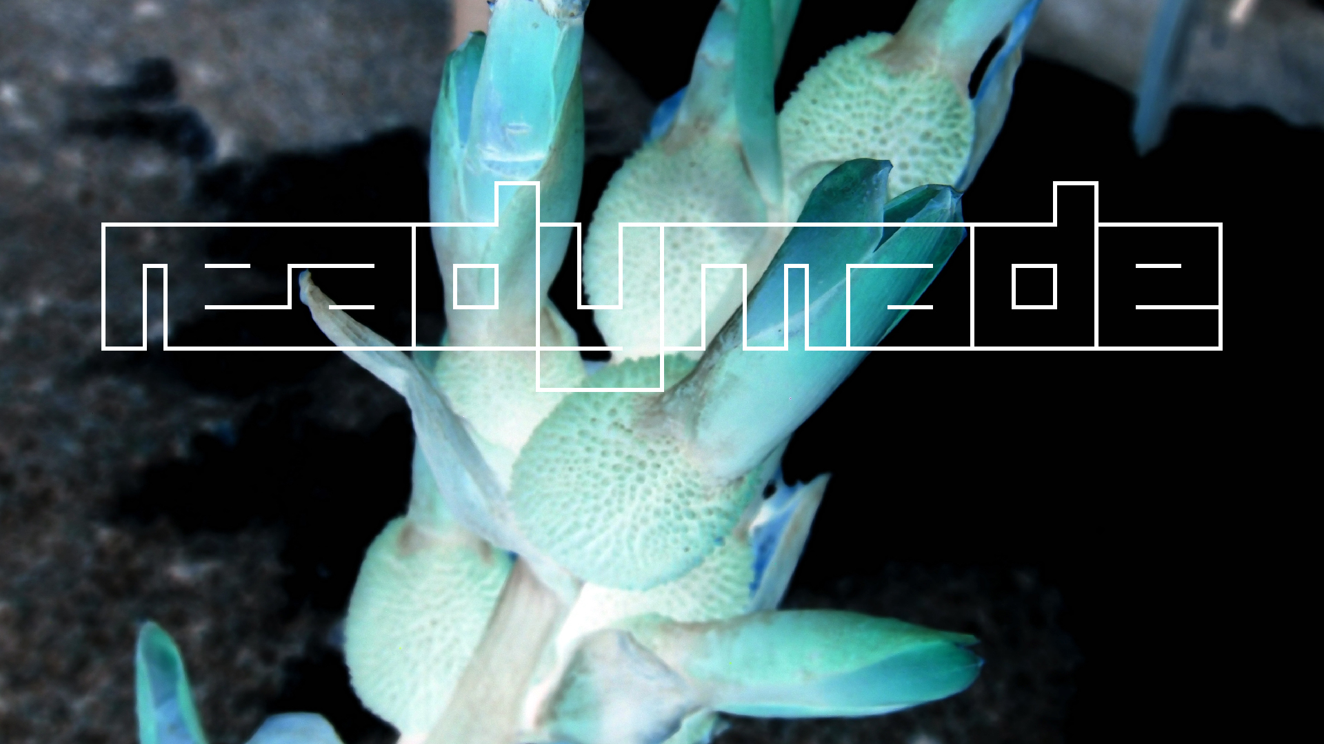 2022-04-17 Wind auf dem Meer (Audio, Foto, Video)