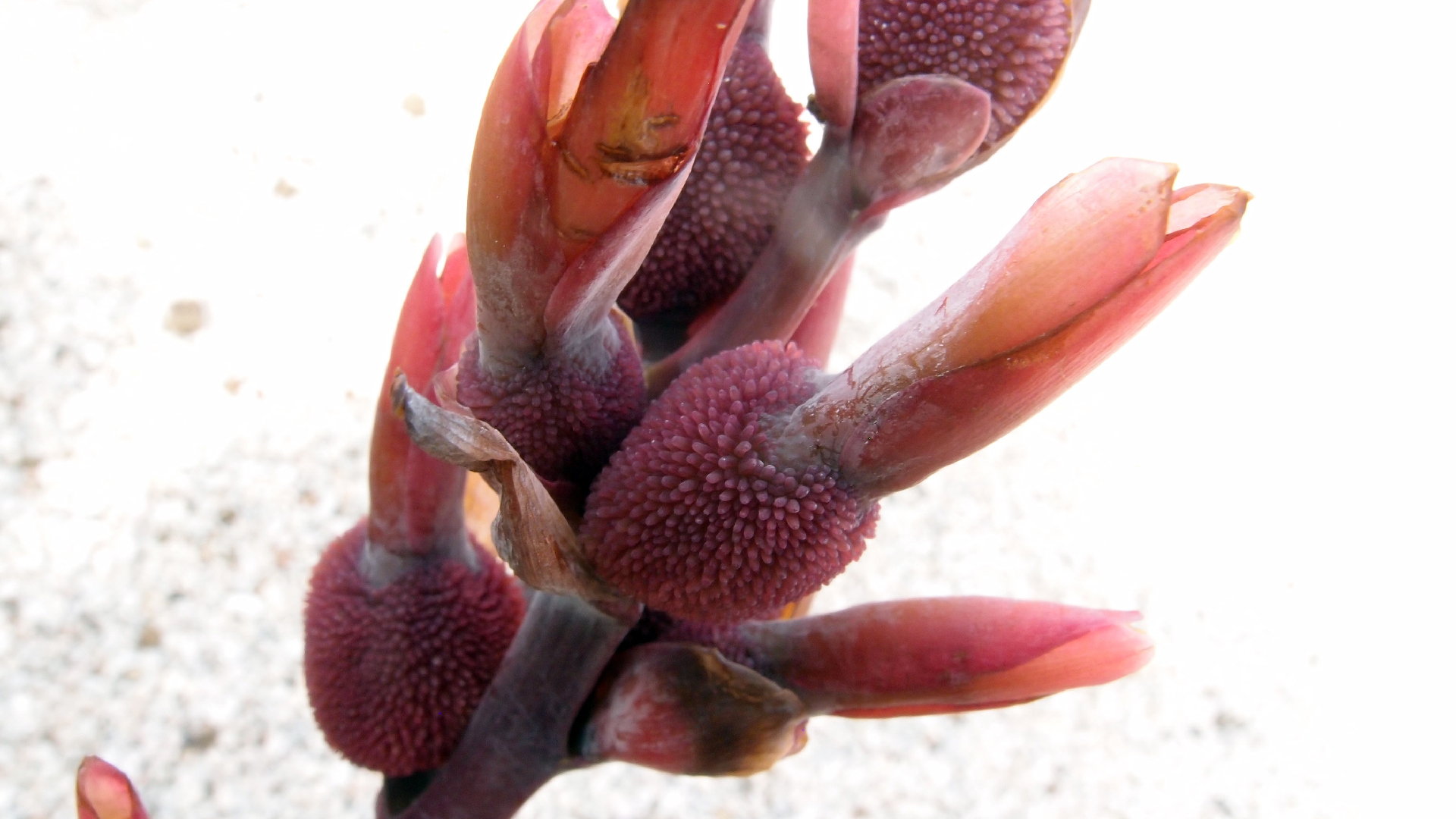 2022-04-17 Wind auf dem Meer (Audio, Foto, Video)