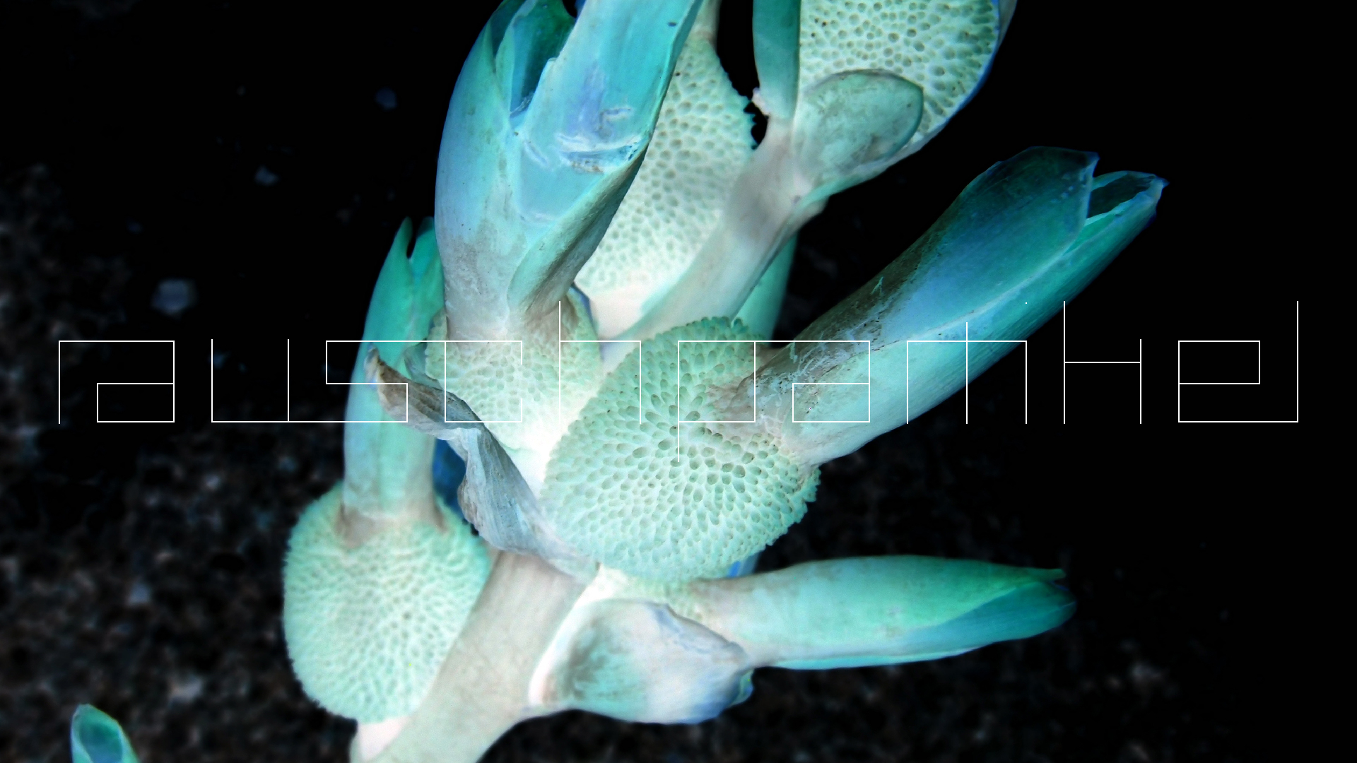 2022-04-17 Wind auf dem Meer (Audio, Foto, Video)