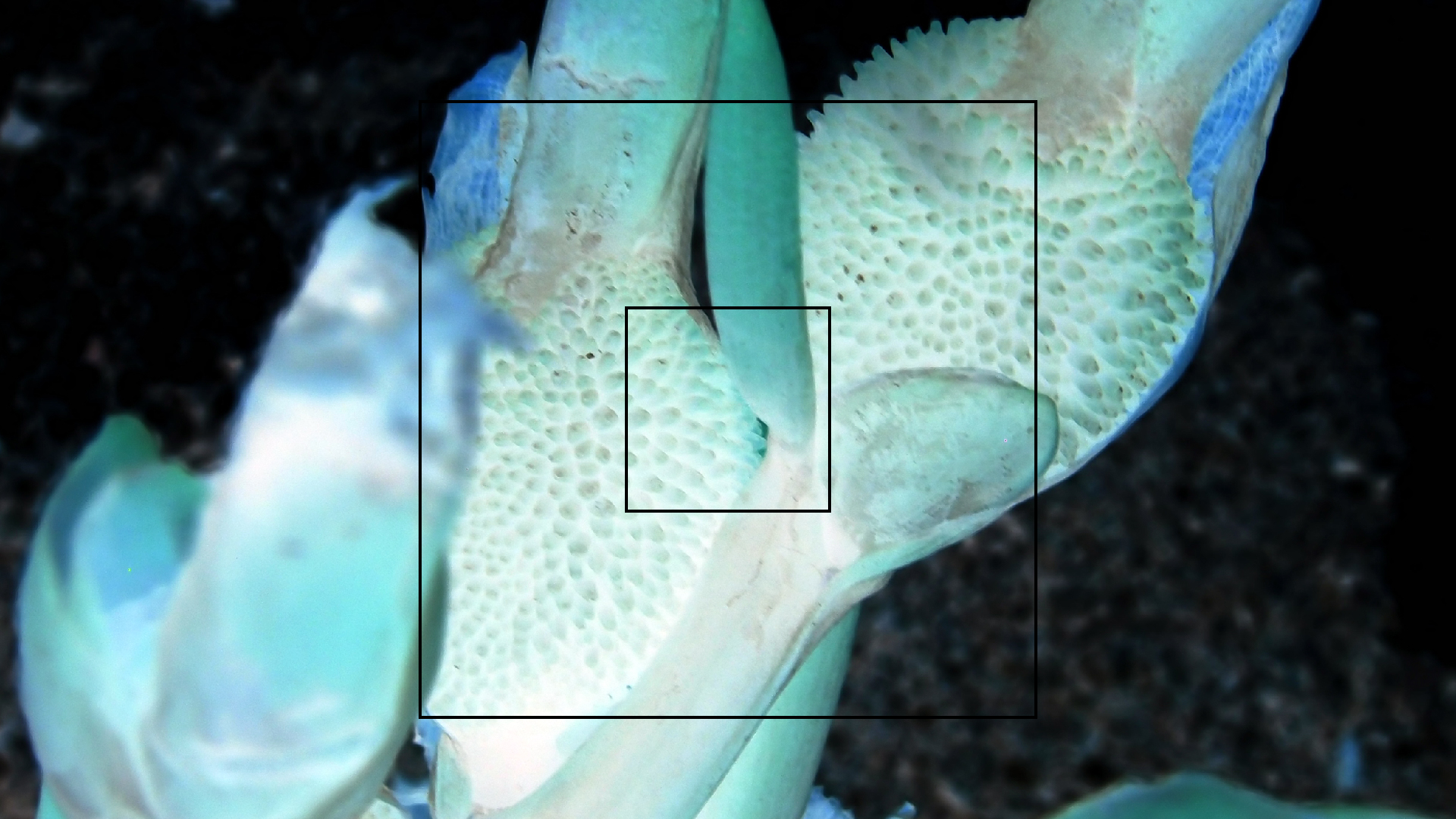 2022-04-17 Wind auf dem Meer (Audio, Foto, Video)