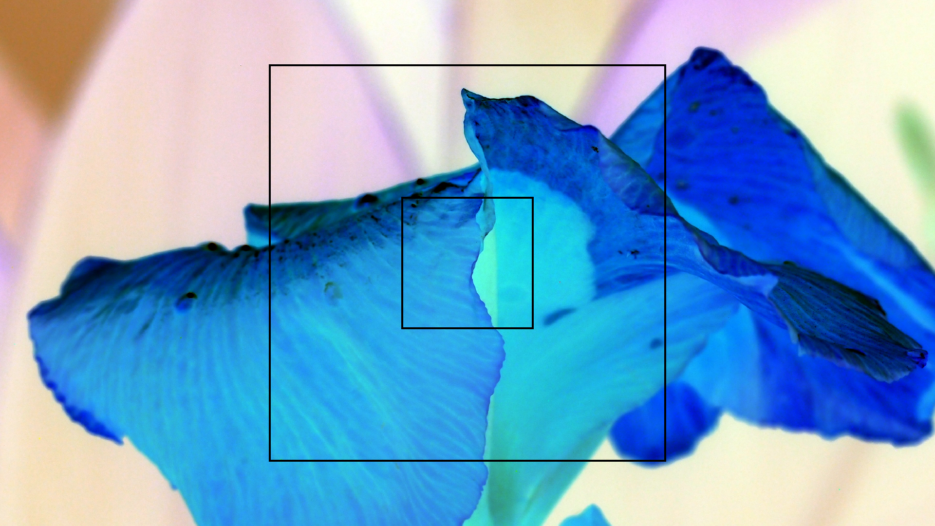 2022-04-17 Wind auf dem Meer (Audio, Foto, Video)