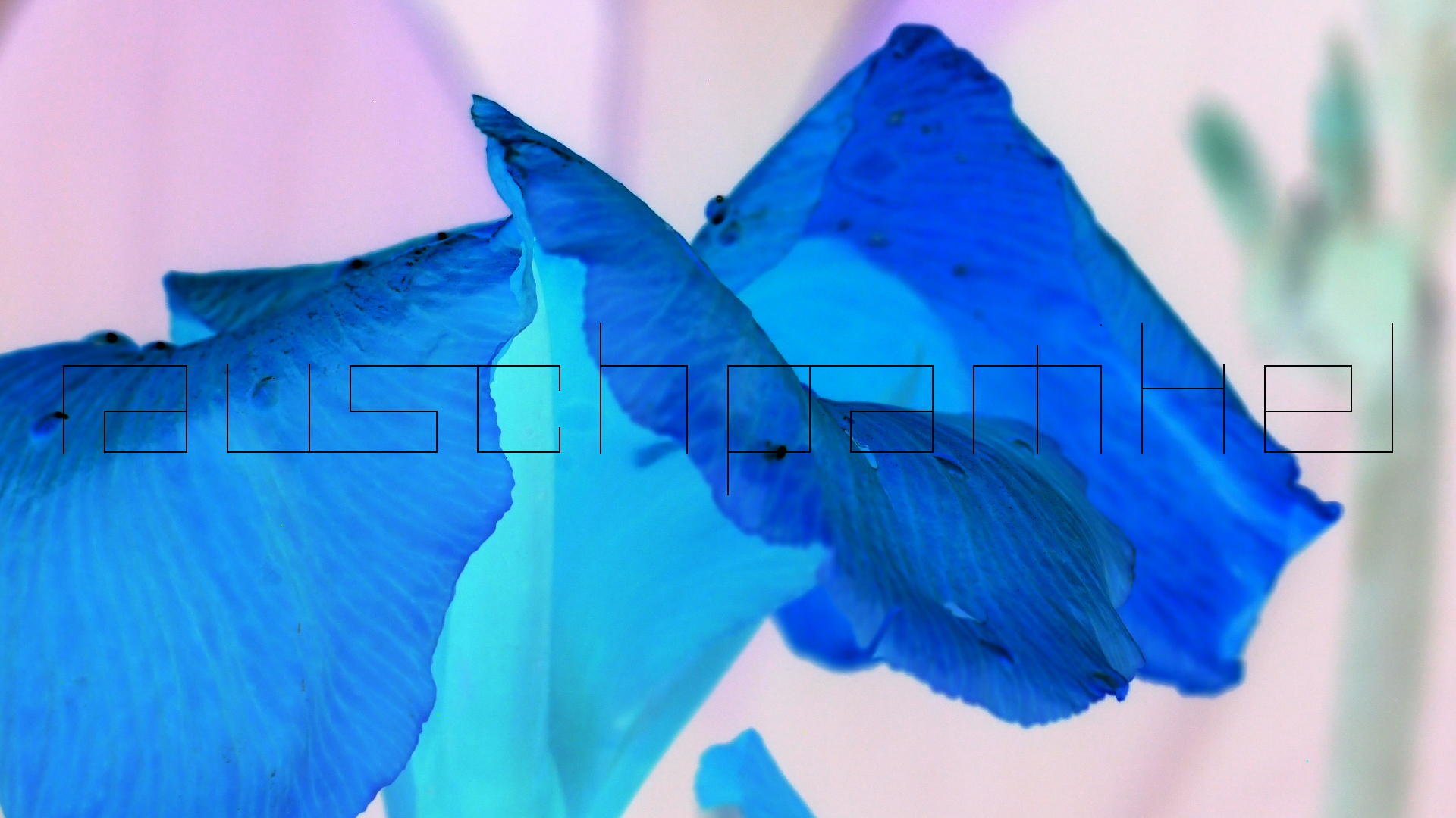 2022-04-17 Wind auf dem Meer (Audio, Foto, Video)