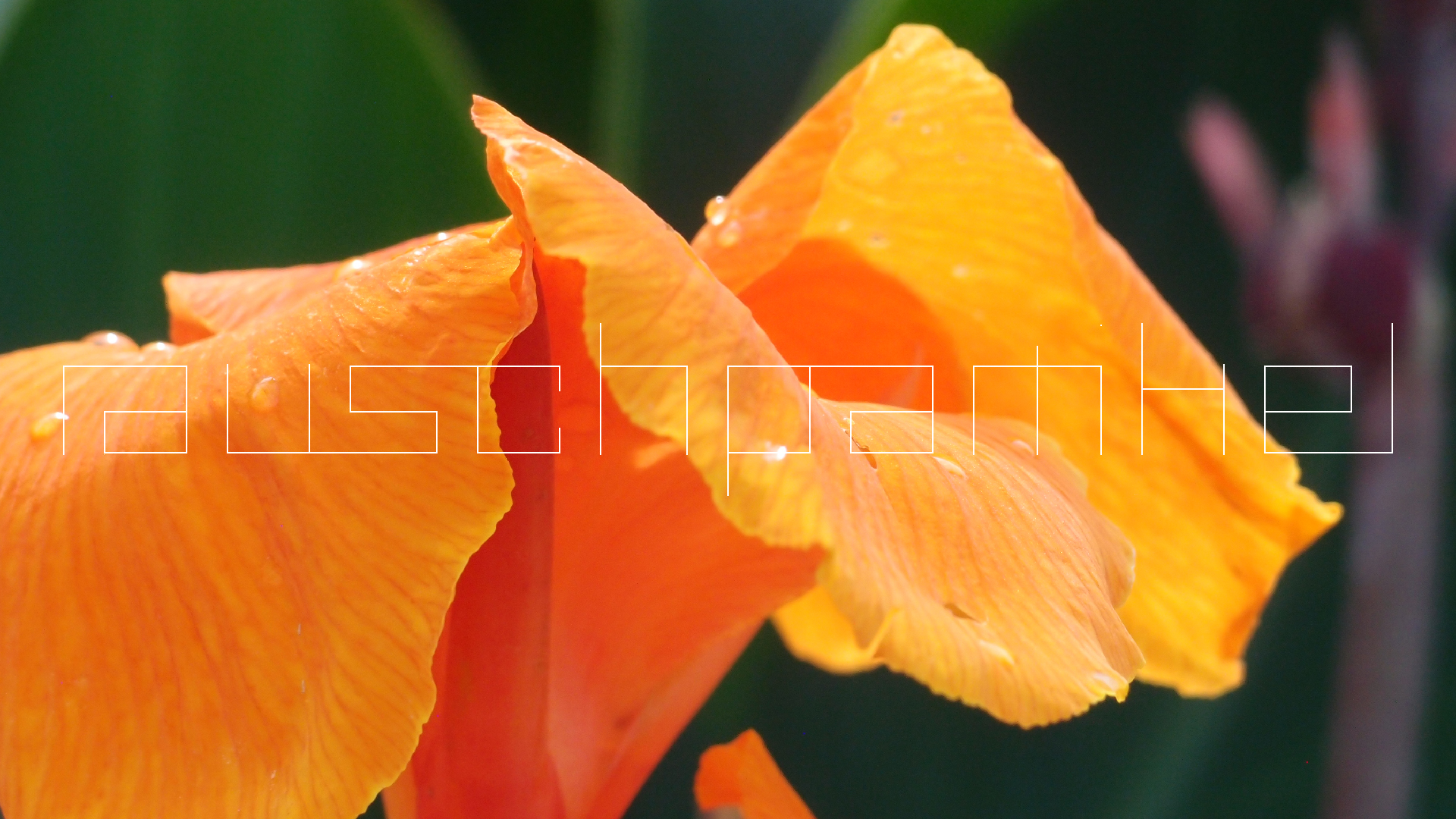 2022-04-17 Wind auf dem Meer (Audio, Foto, Video)