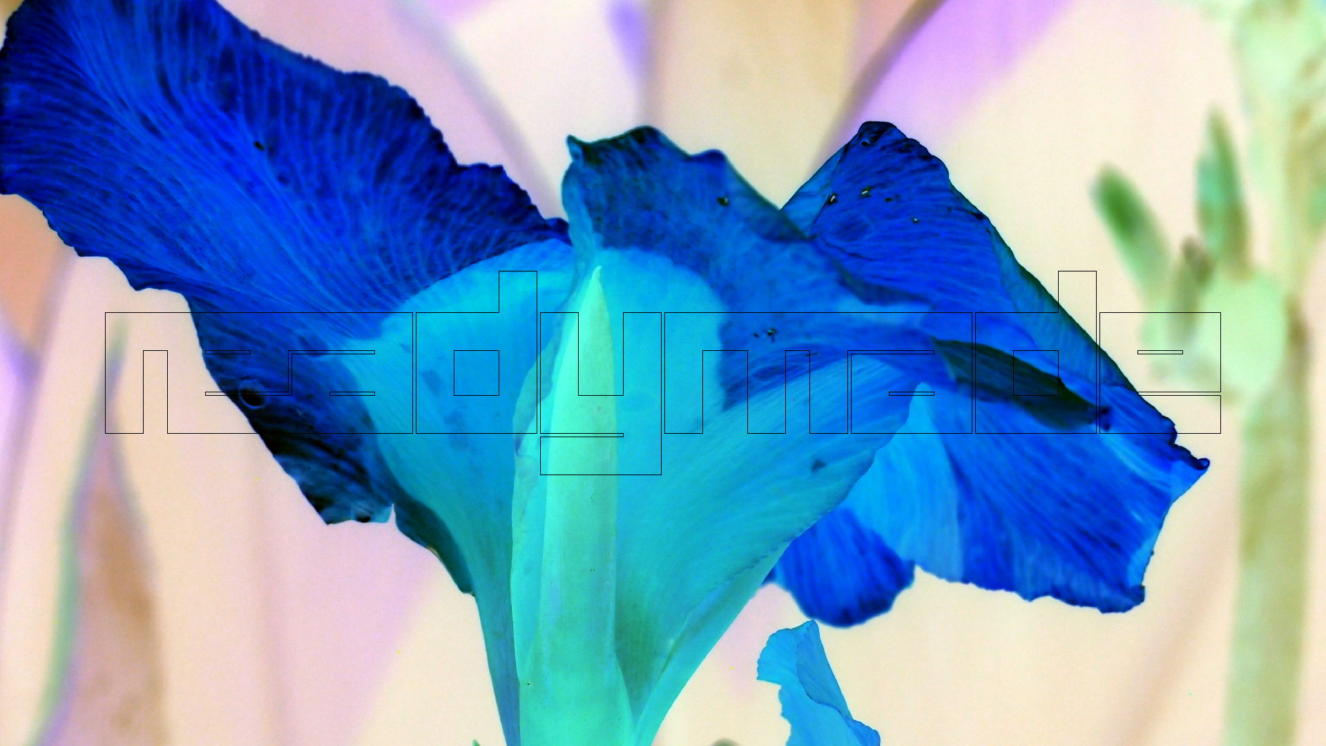 2022-04-17 Wind auf dem Meer (Audio, Foto, Video)