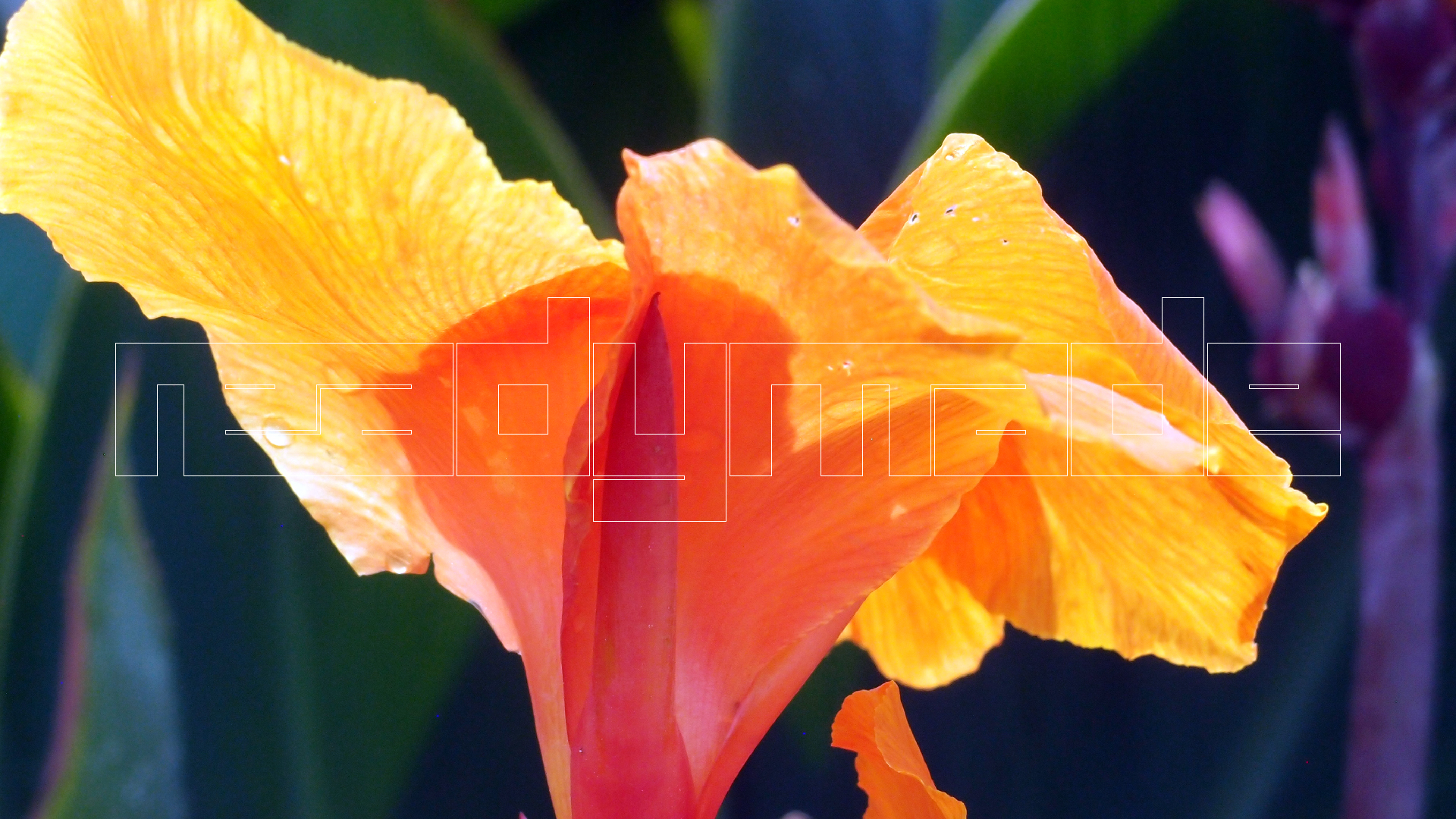 2022-04-17 Wind auf dem Meer (Audio, Foto, Video)