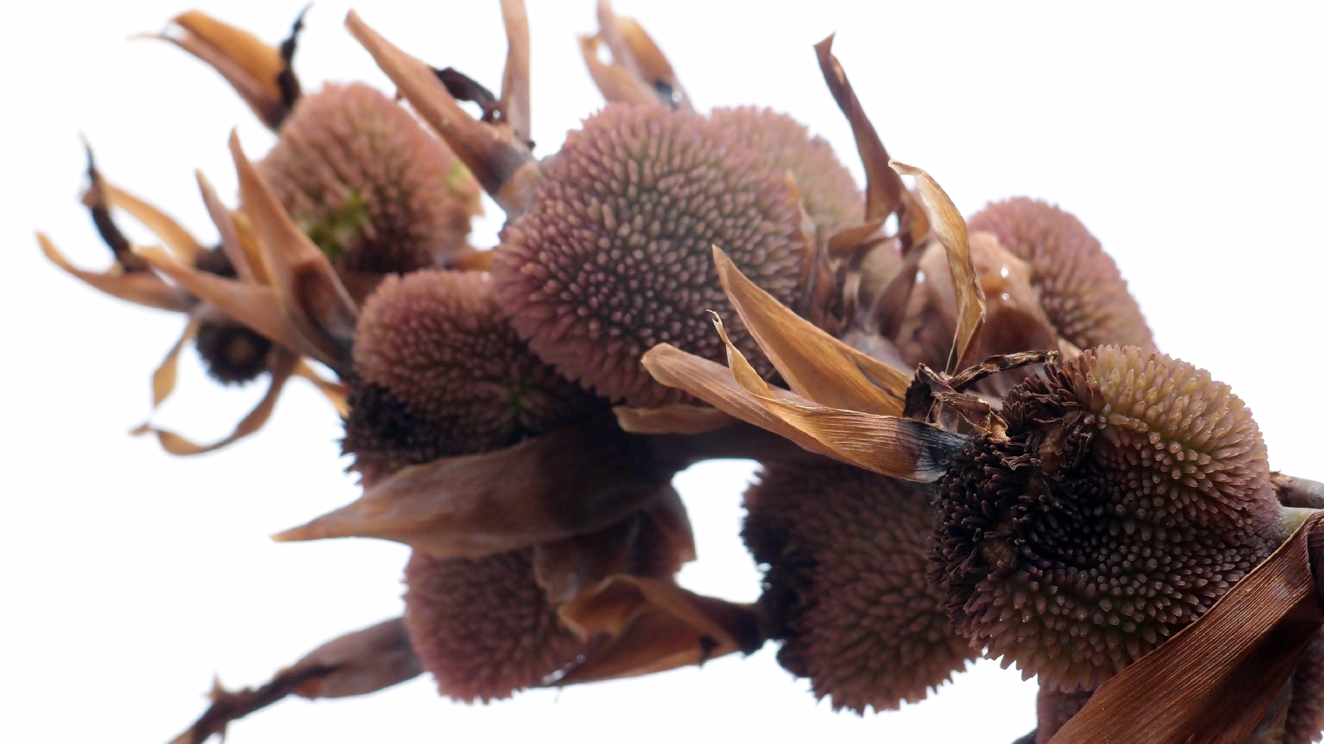 2022-04-17 Wind auf dem Meer (Audio, Foto, Video)