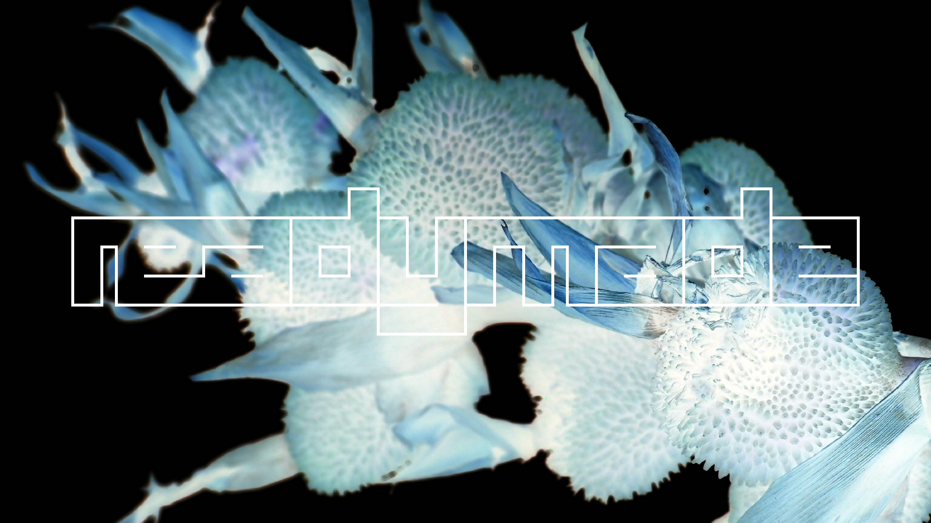 2022-04-17 Wind auf dem Meer (Audio, Foto, Video)