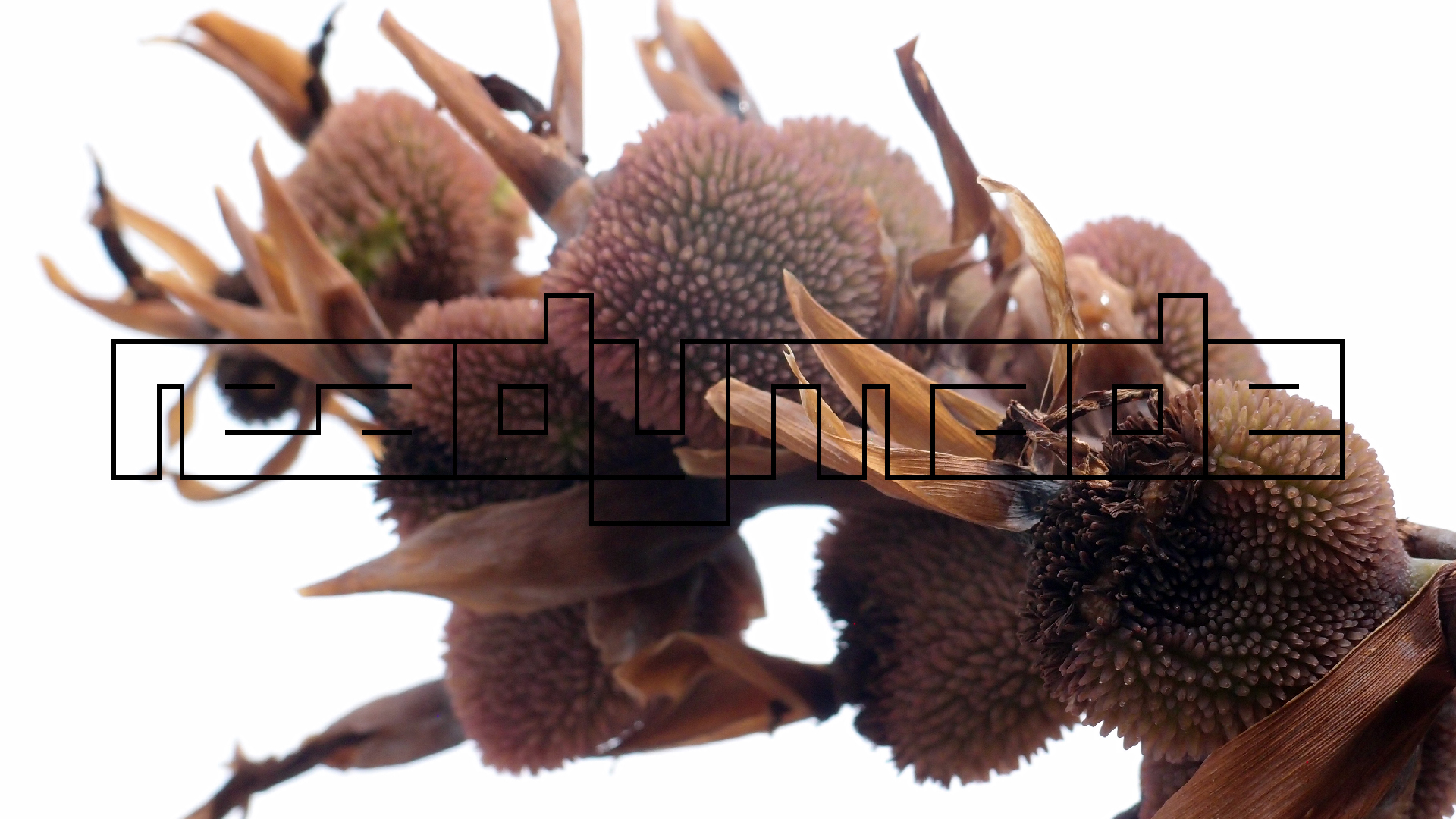 2022-04-17 Wind auf dem Meer (Audio, Foto, Video)