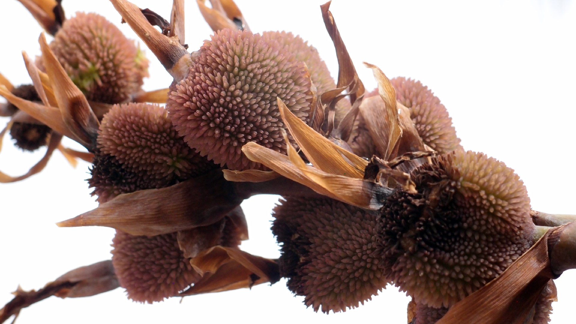 2022-04-17 Wind auf dem Meer (Audio, Foto, Video)