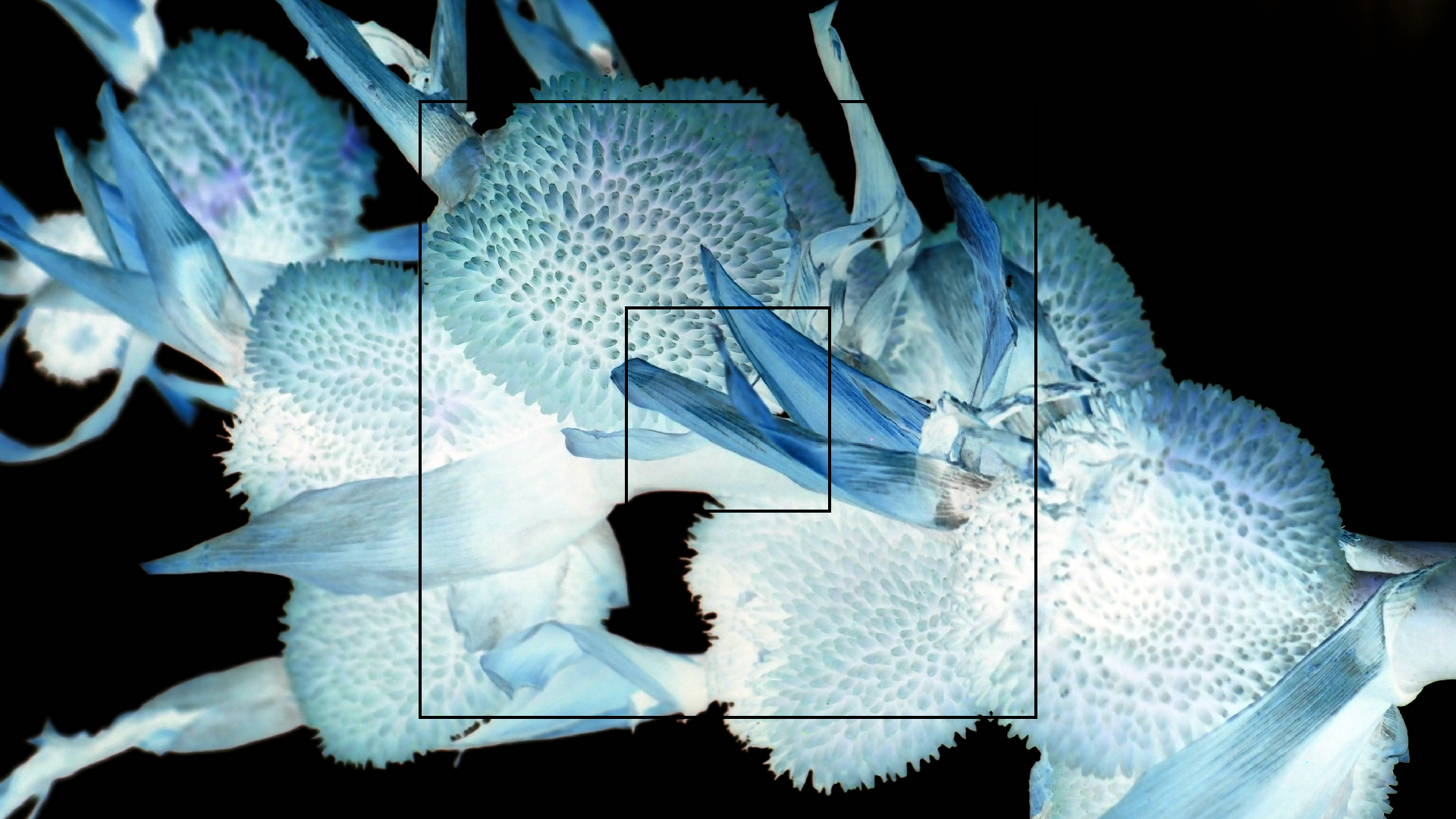 2022-04-17 Wind auf dem Meer (Audio, Foto, Video)