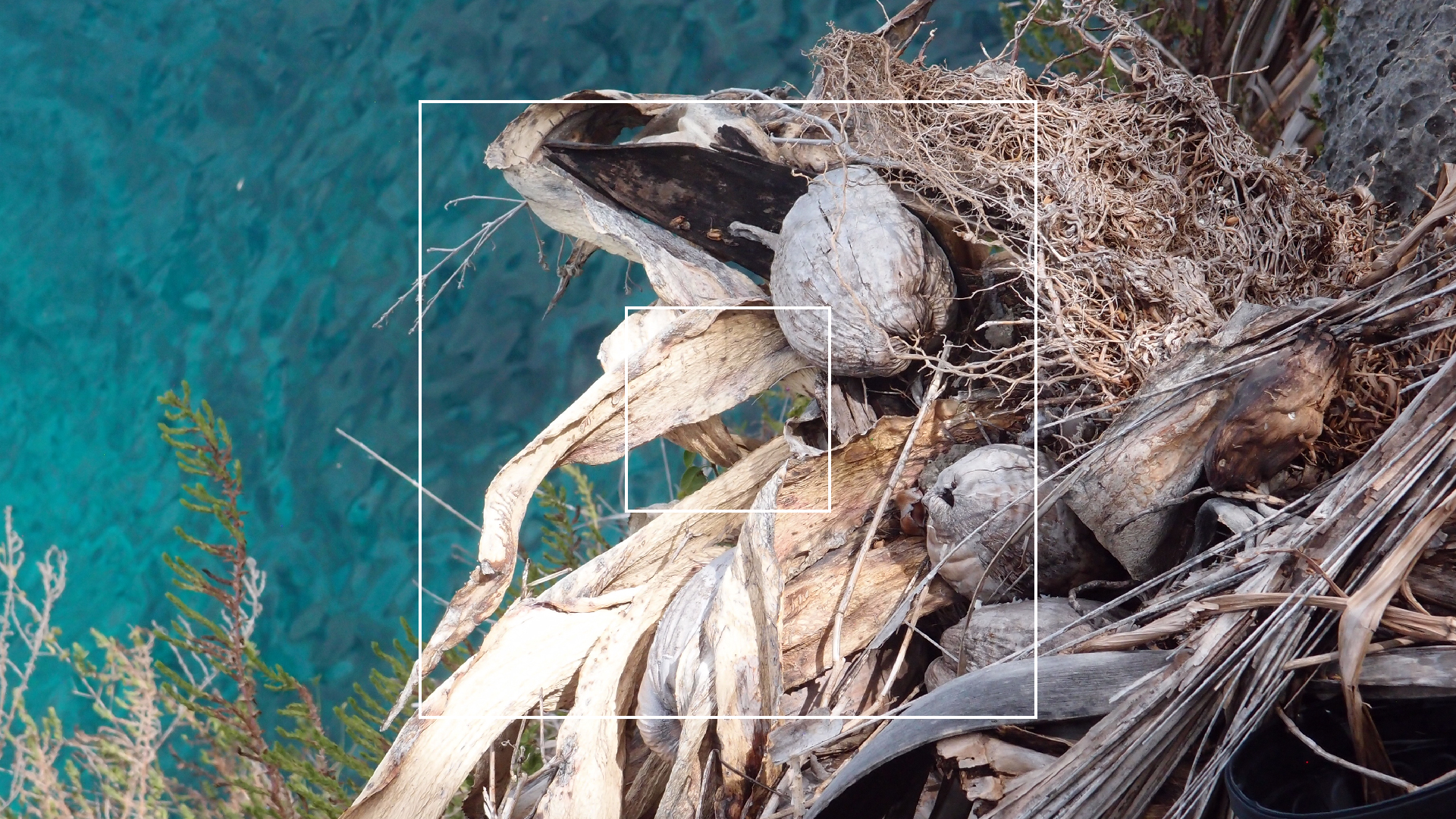 2022-04-17 Wind auf dem Meer (Audio, Foto, Video)