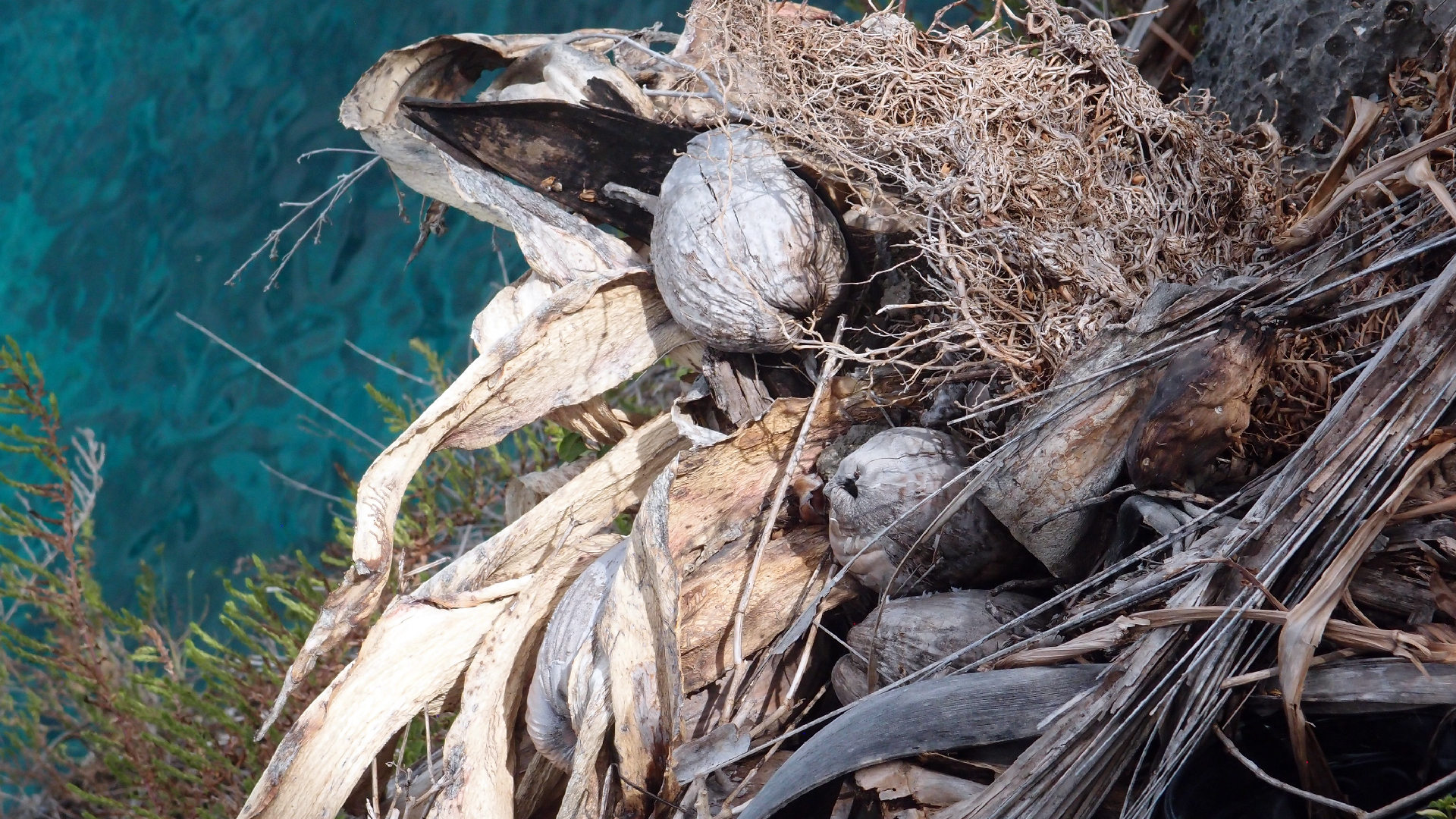 2022-04-17 Wind auf dem Meer (Audio, Foto, Video)
