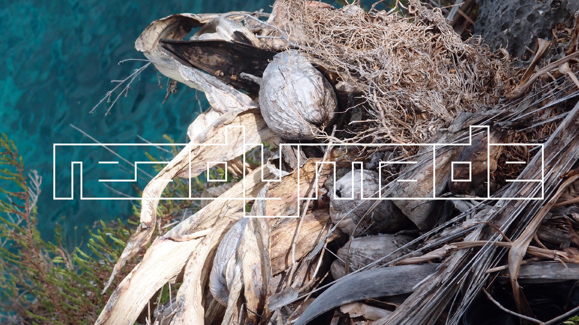 2022-04-17 Wind auf dem Meer (Audio, Foto, Video)