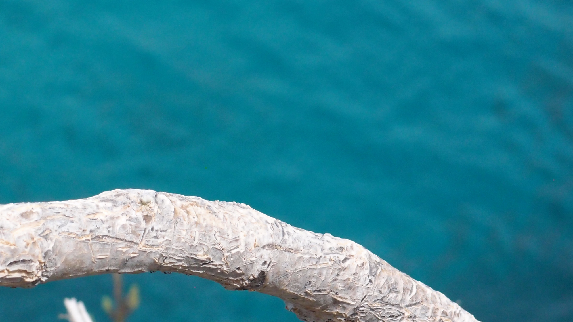 2022-04-17 Wind auf dem Meer (Audio, Foto, Video)