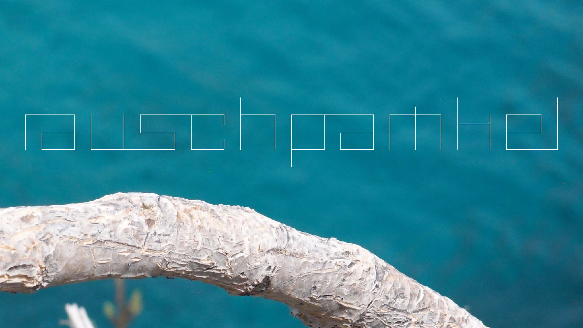 2022-04-17 Wind auf dem Meer (Audio, Foto, Video)