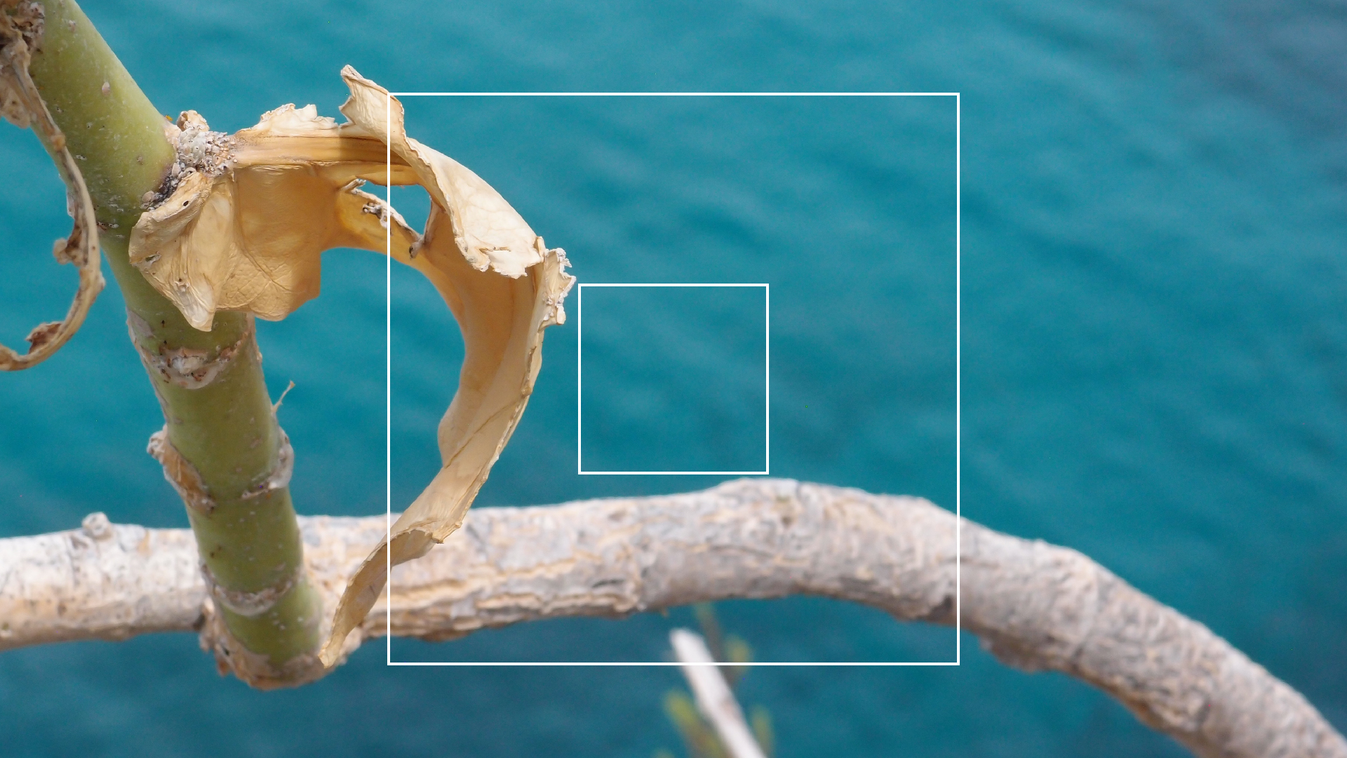 2022-04-17 Wind auf dem Meer (Audio, Foto, Video)