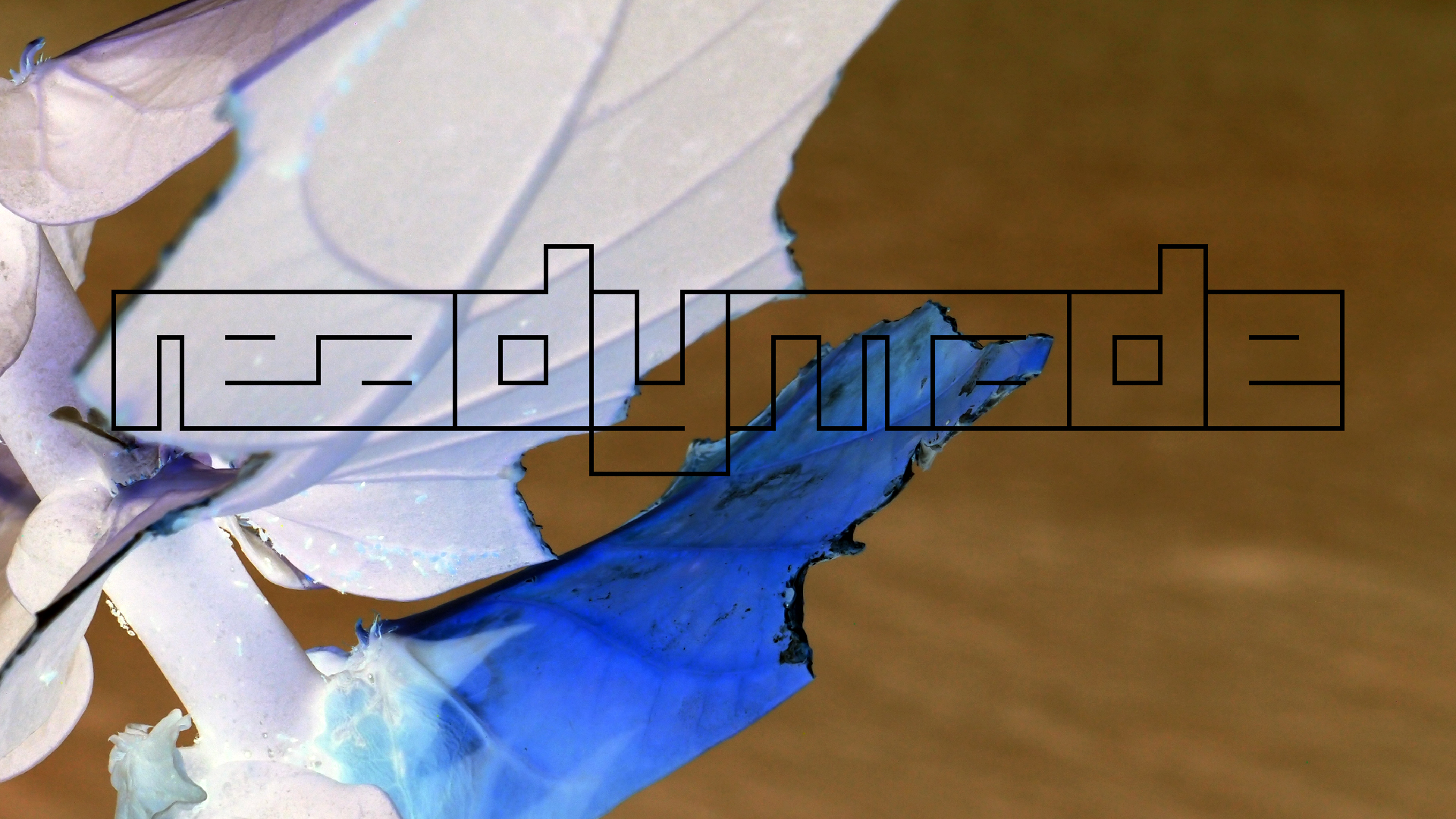 2022-04-17 Wind auf dem Meer (Audio, Foto, Video)