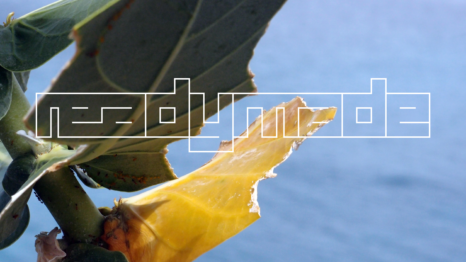 2022-04-17 Wind auf dem Meer (Audio, Foto, Video)