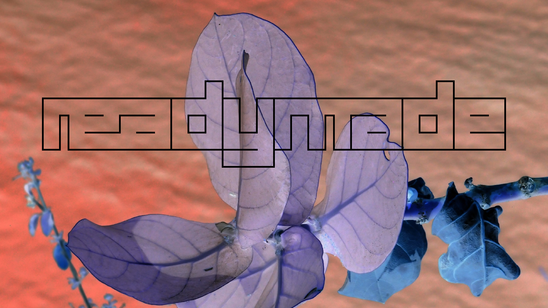 2022-04-17 Wind auf dem Meer (Audio, Foto, Video)