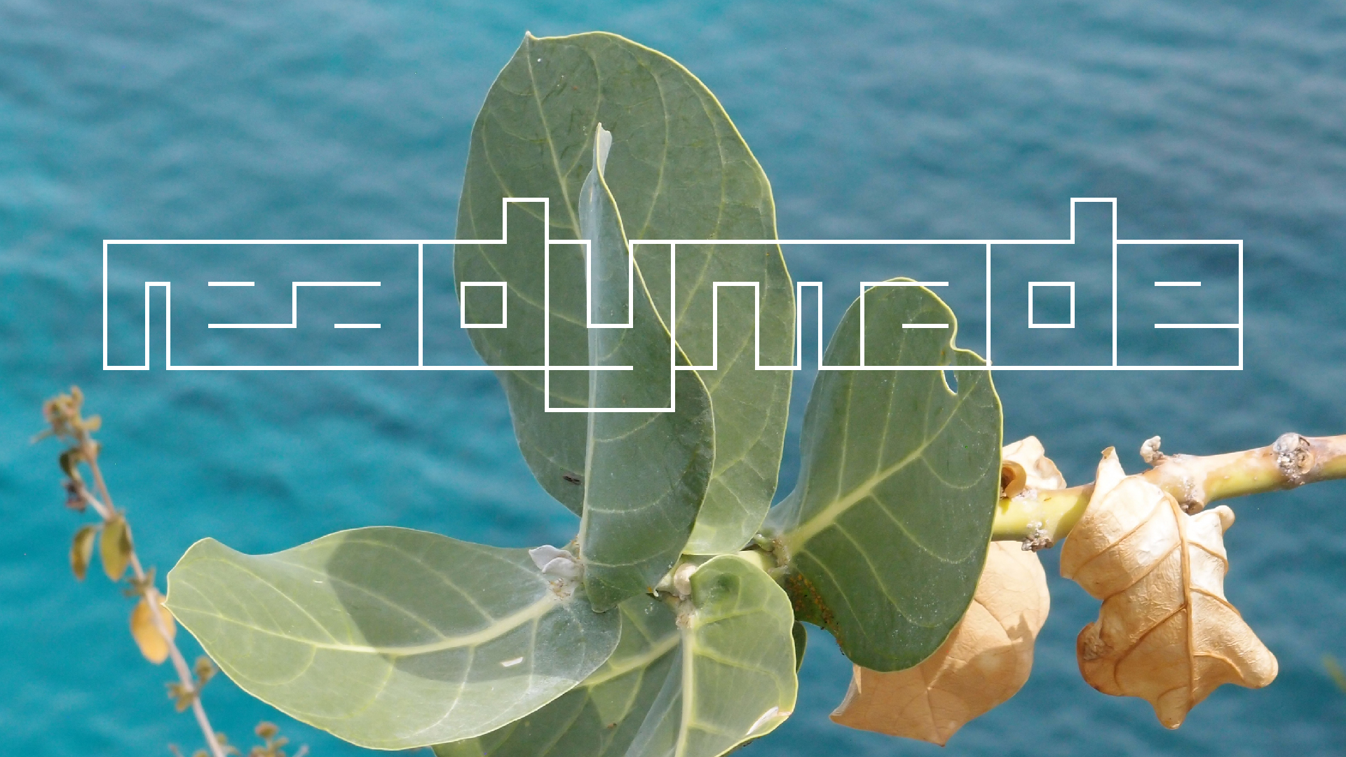 2022-04-17 Wind auf dem Meer (Audio, Foto, Video)