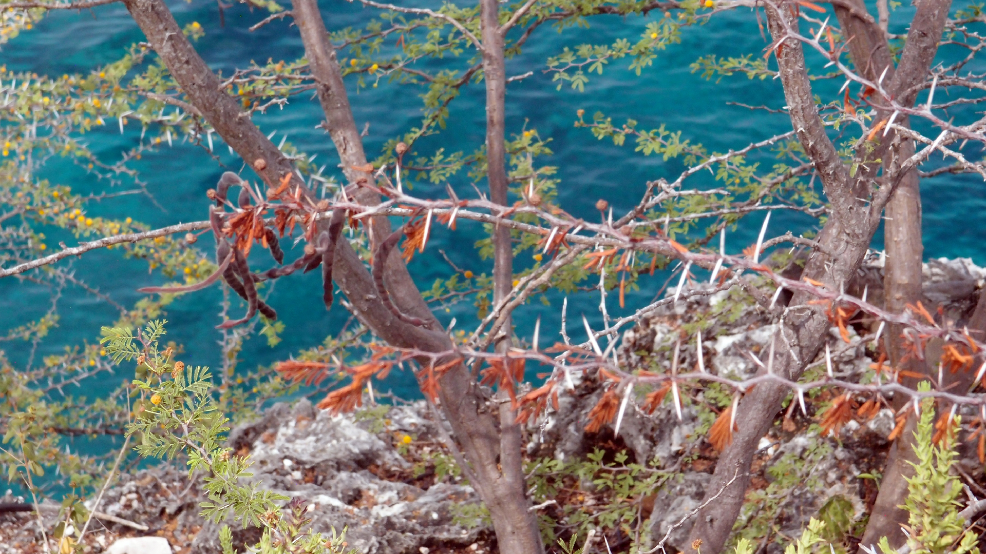 2022-04-17 Wind auf dem Meer (Audio, Foto, Video)