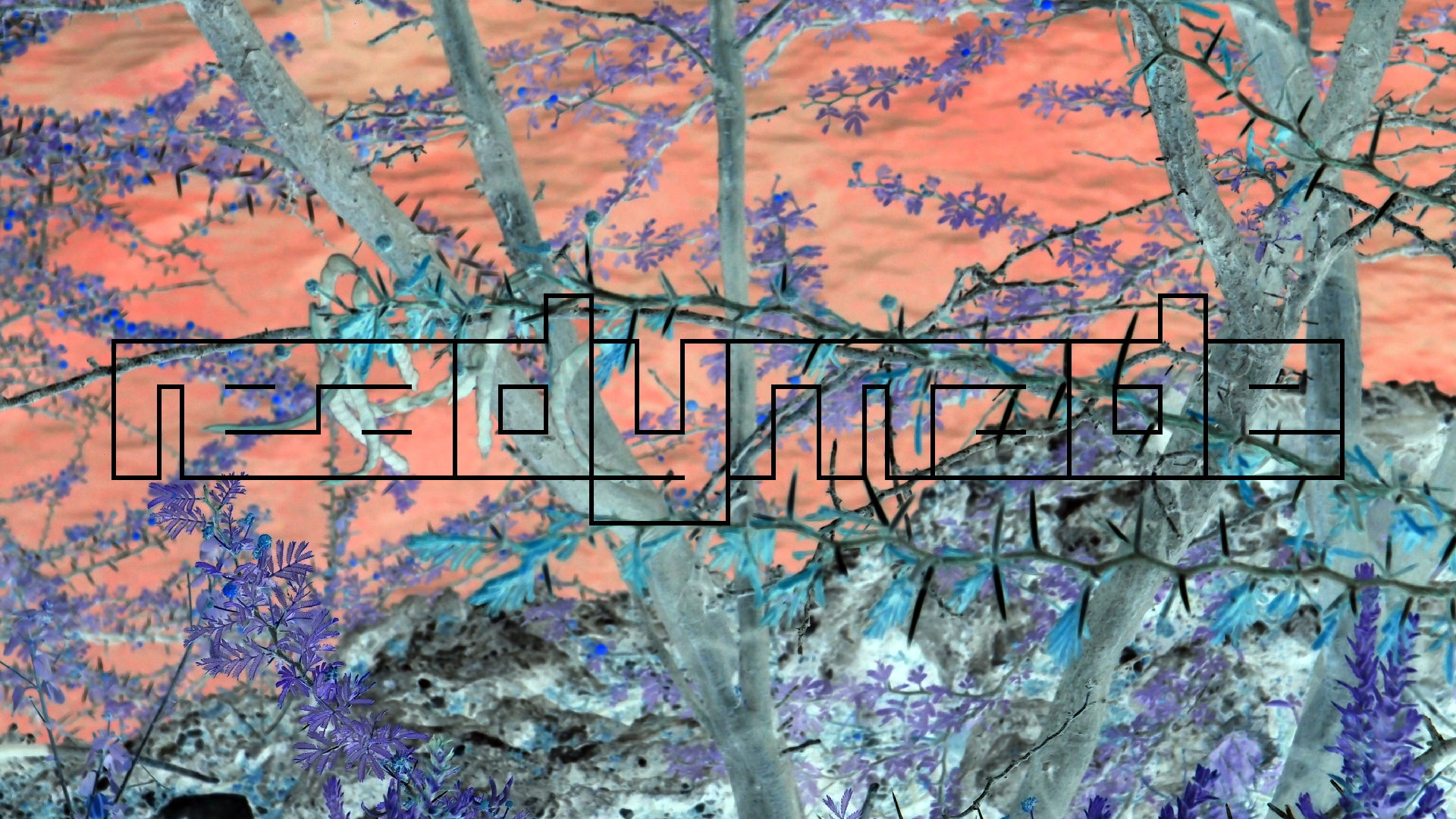 2022-04-17 Wind auf dem Meer (Audio, Foto, Video)