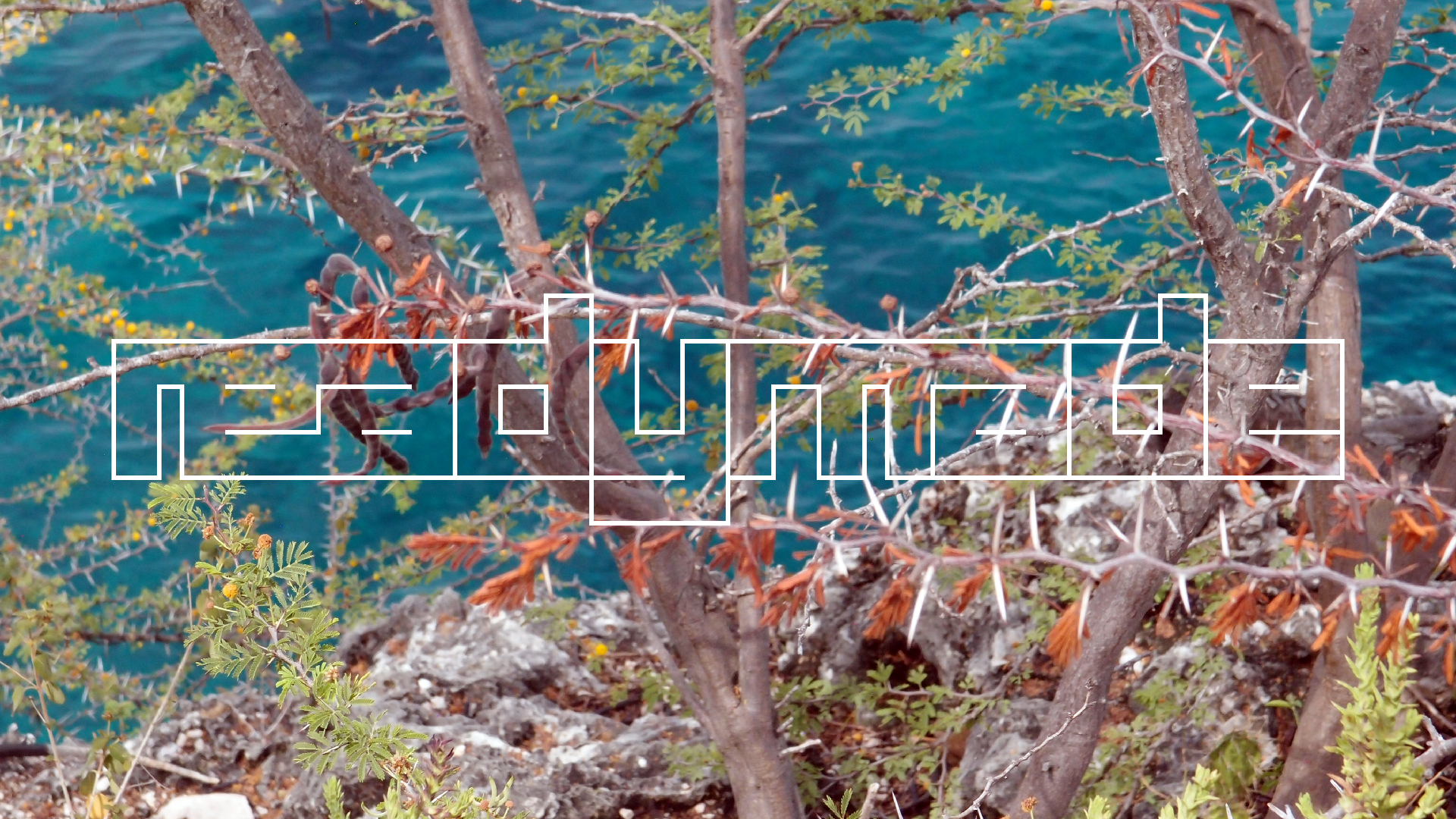 2022-04-17 Wind auf dem Meer (Audio, Foto, Video)