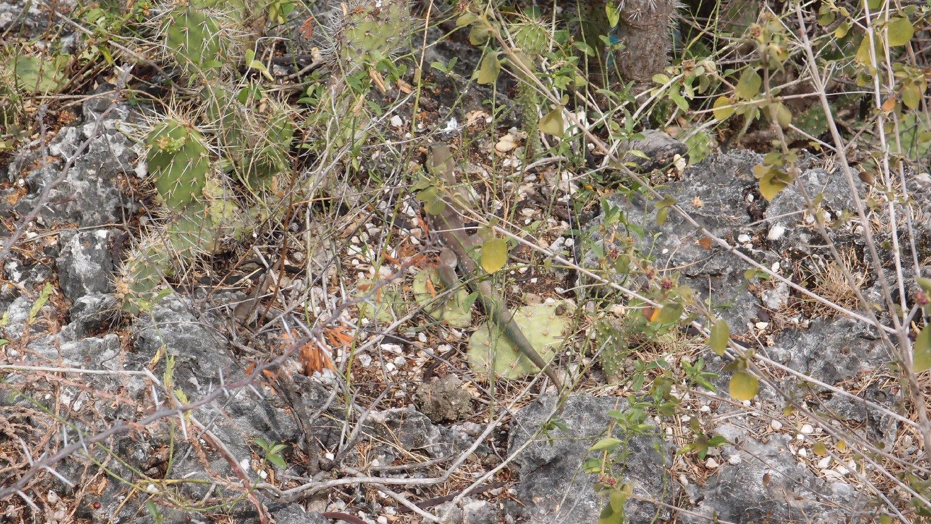 2022-04-17 Wind auf dem Meer (Audio, Foto, Video)