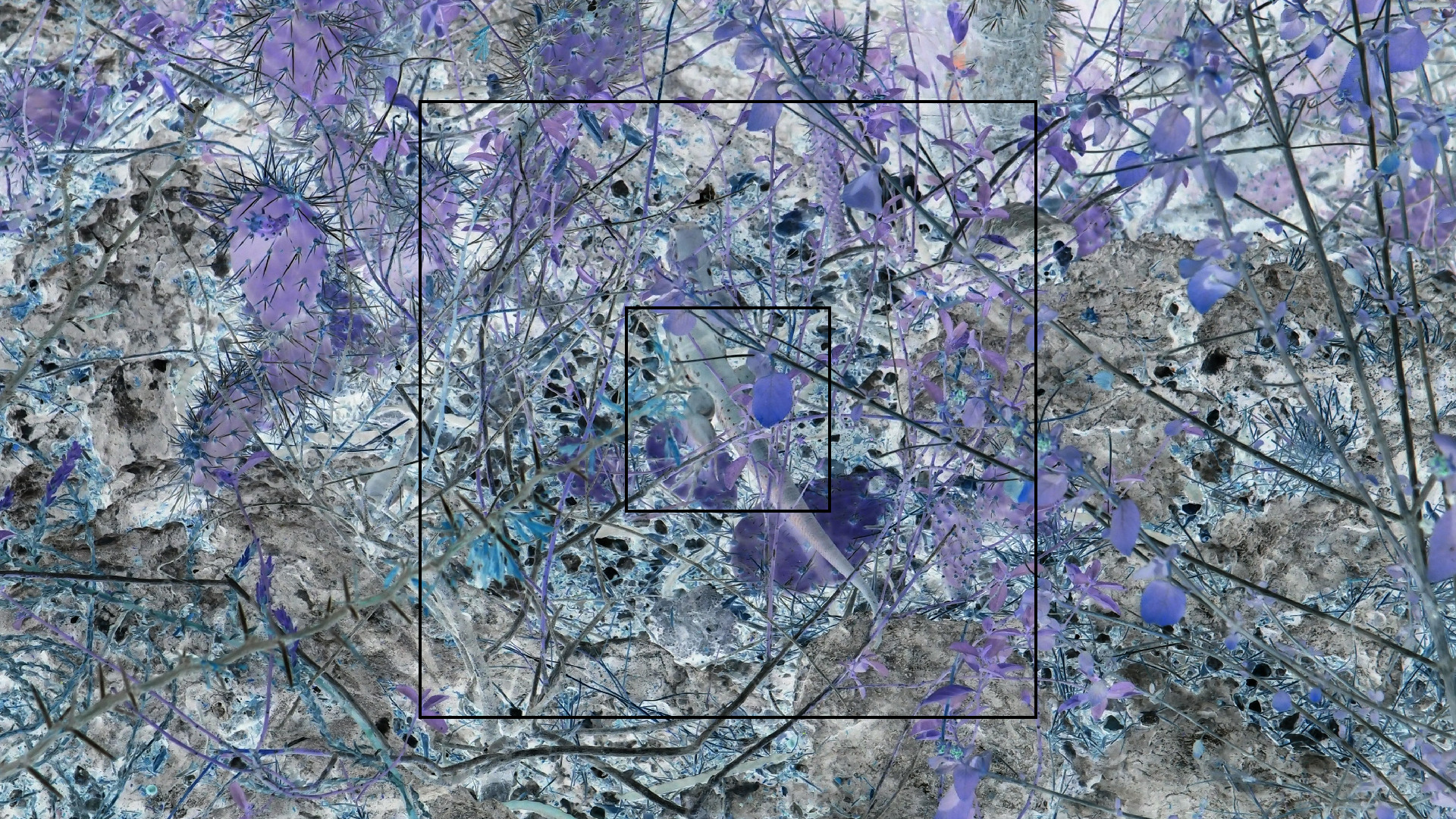 2022-04-17 Wind auf dem Meer (Audio, Foto, Video)