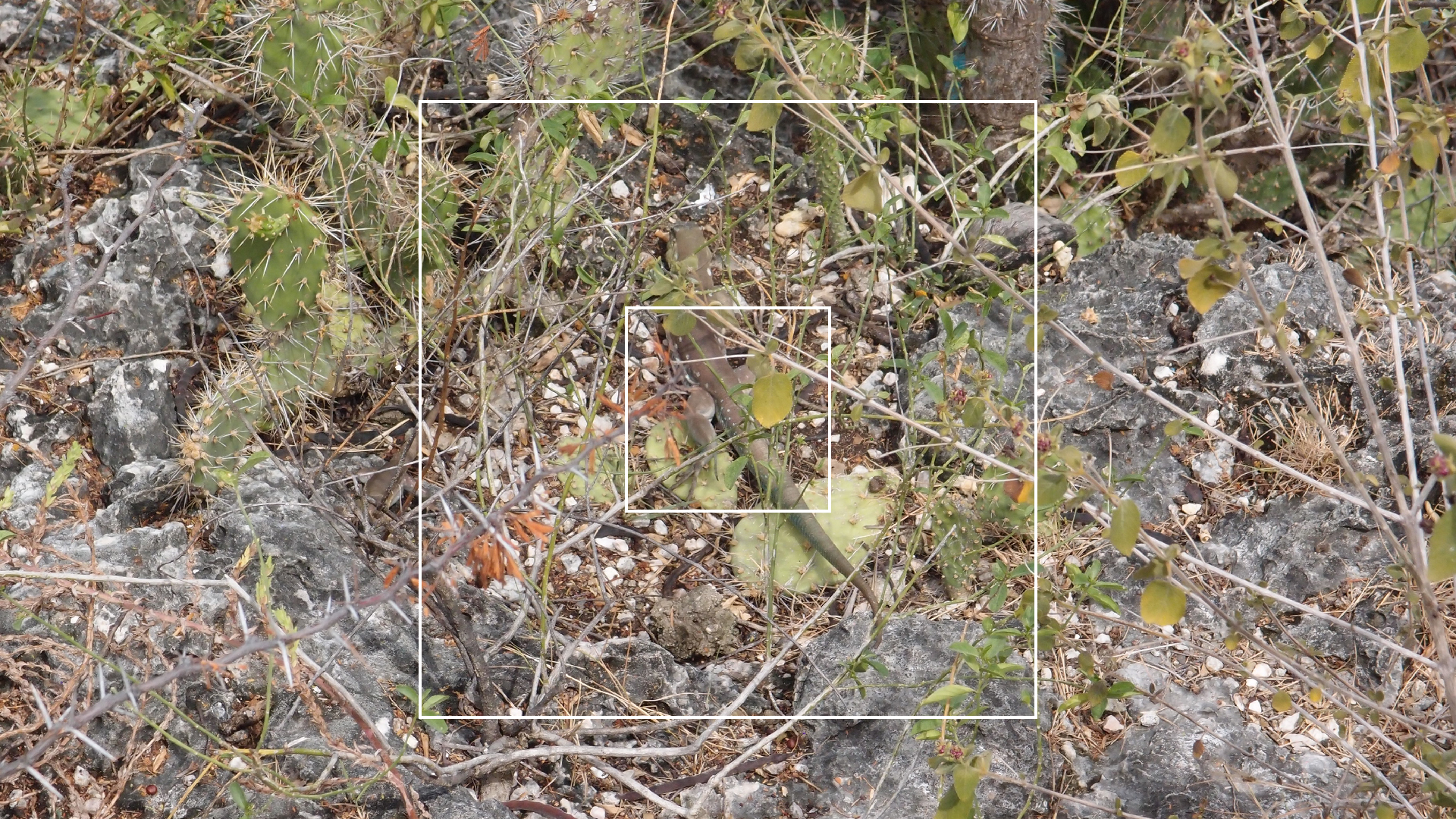 2022-04-17 Wind auf dem Meer (Audio, Foto, Video)