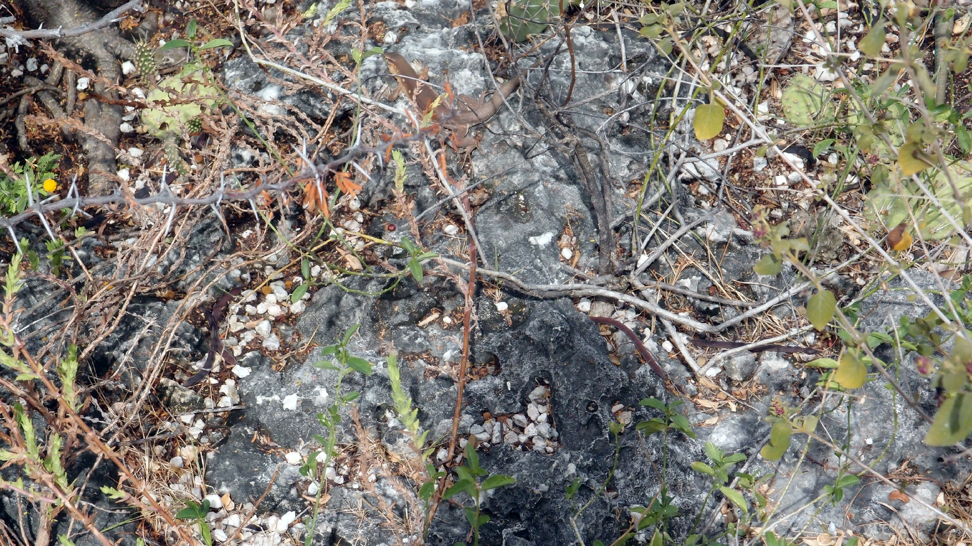 2022-04-17 Wind auf dem Meer (Audio, Foto, Video)