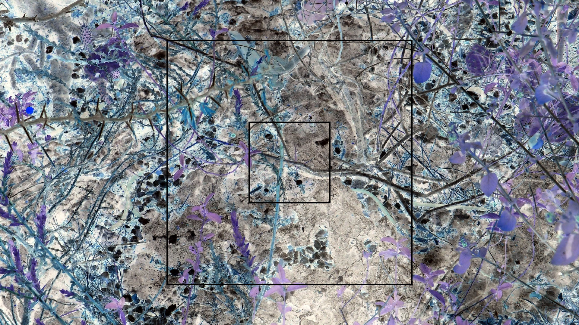 2022-04-17 Wind auf dem Meer (Audio, Foto, Video)