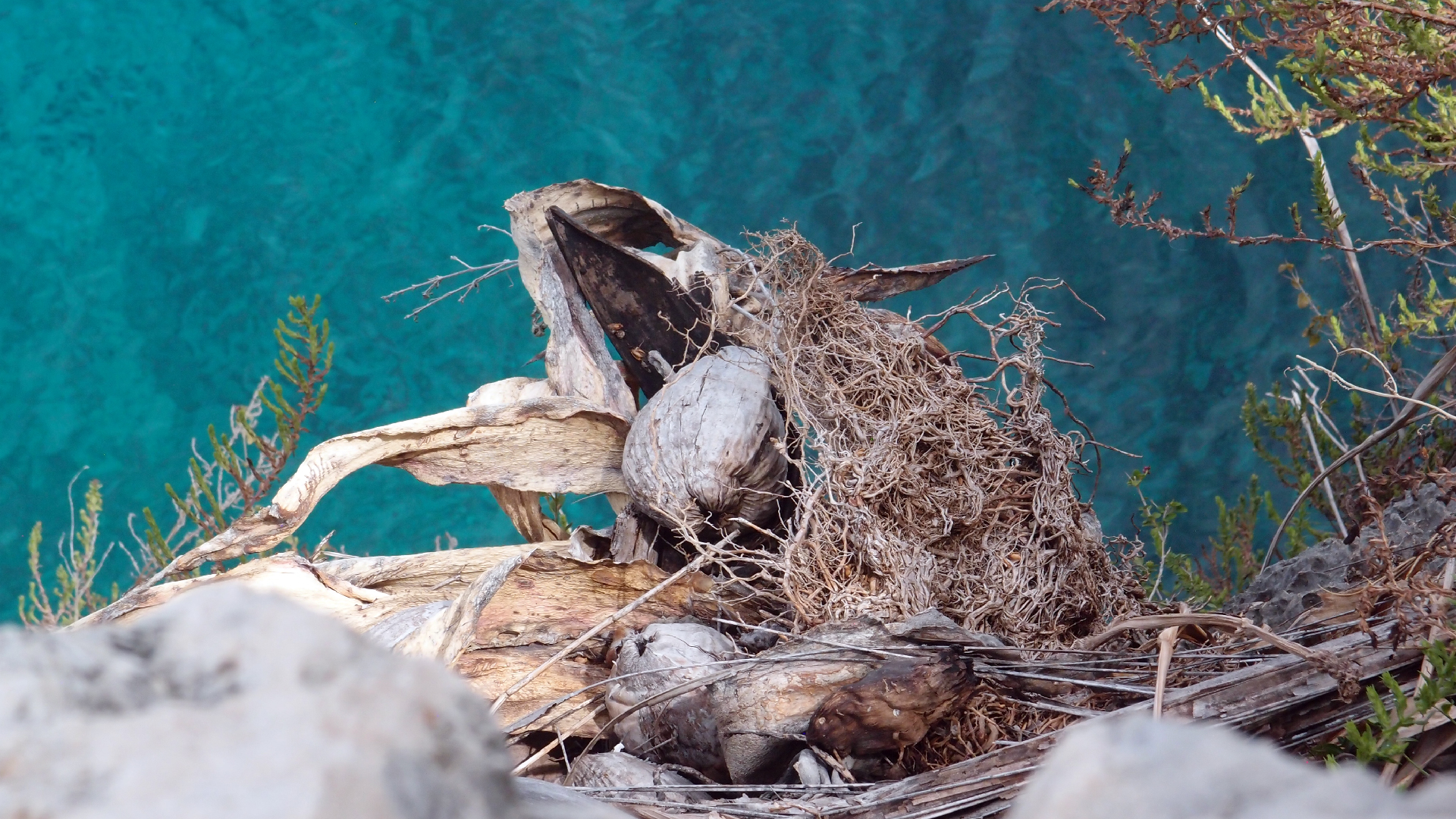 2022-04-17 Wind auf dem Meer (Audio, Foto, Video)
