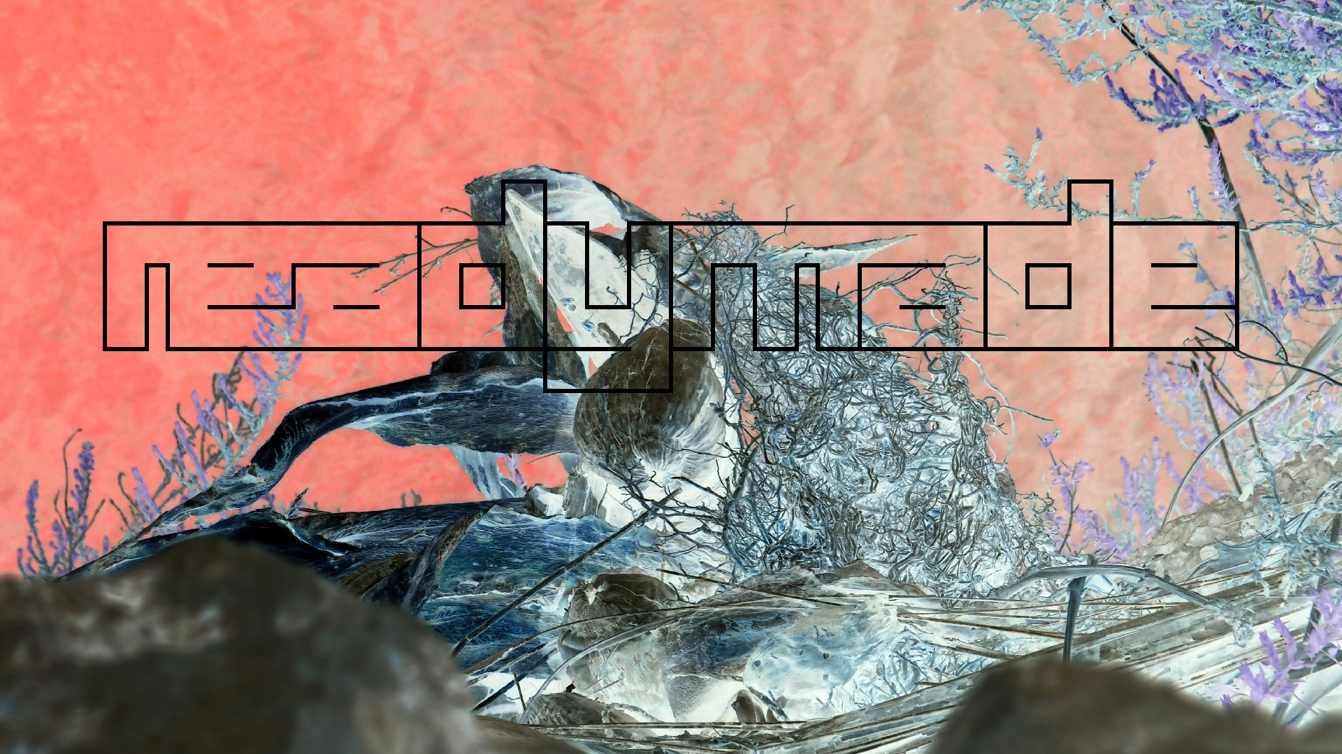 2022-04-17 Wind auf dem Meer (Audio, Foto, Video)