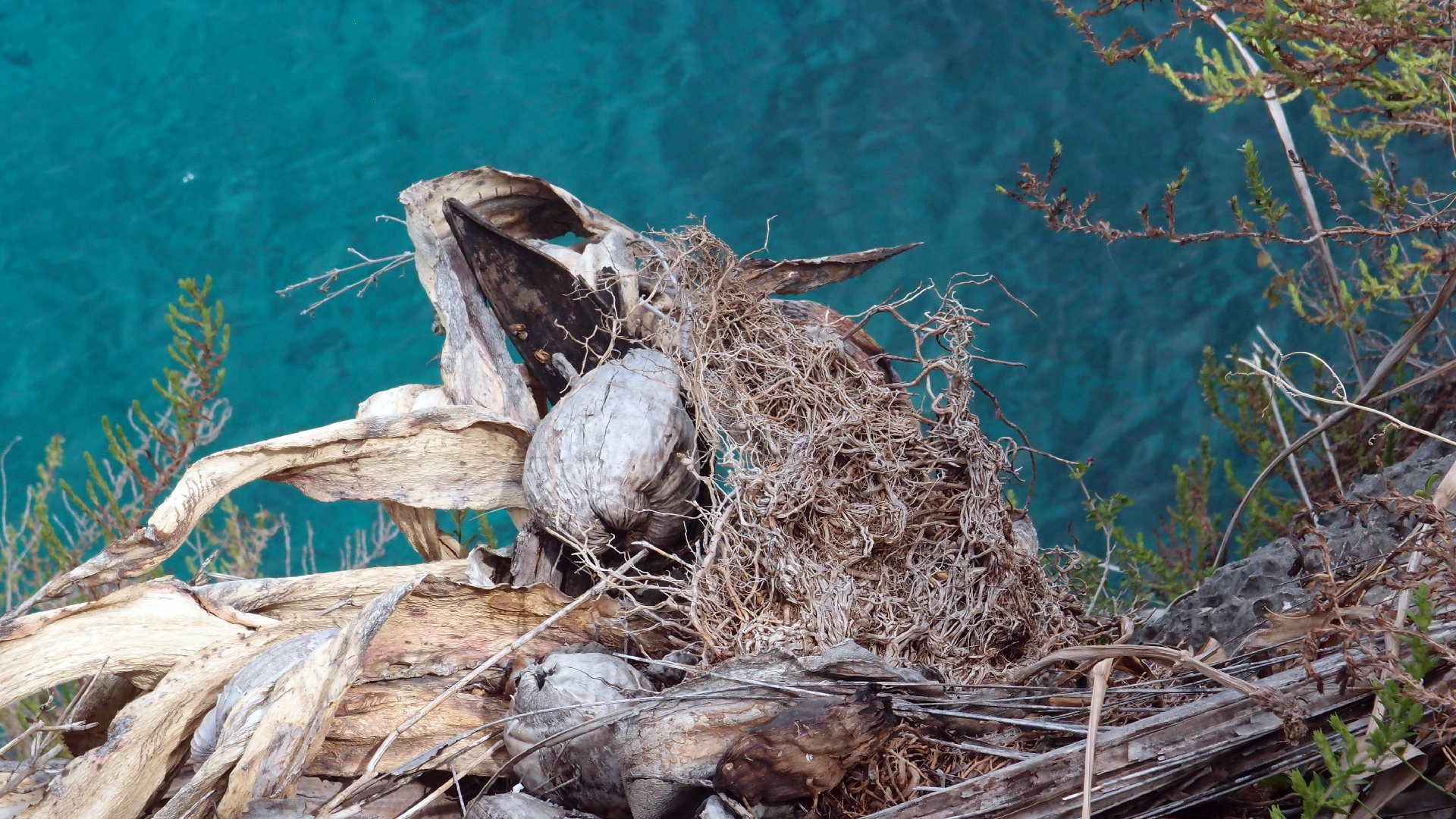 2022-04-17 Wind auf dem Meer (Audio, Foto, Video)