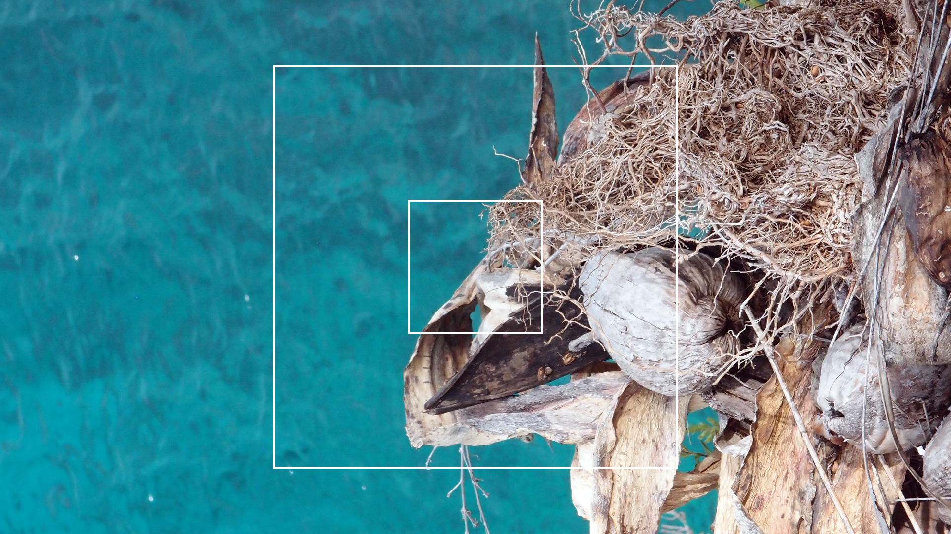 2022-04-17 Wind auf dem Meer (Audio, Foto, Video)