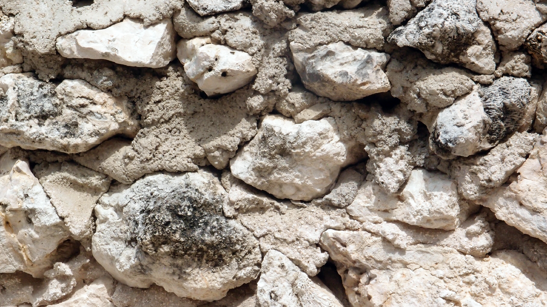 2022-04-17 Wind auf dem Meer (Audio, Foto, Video)