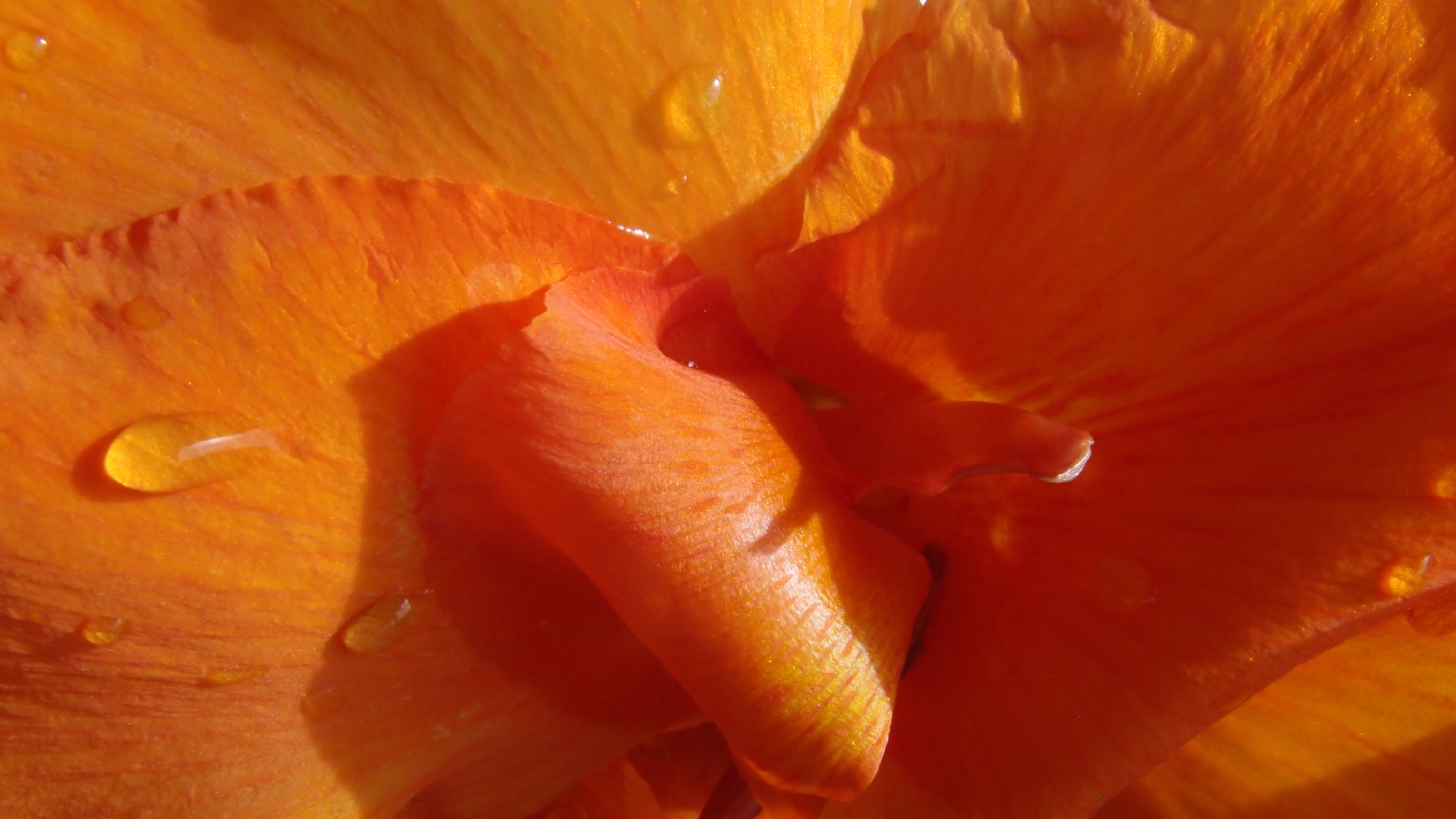 2022-04-17 Wind auf dem Meer (Audio, Foto, Video)