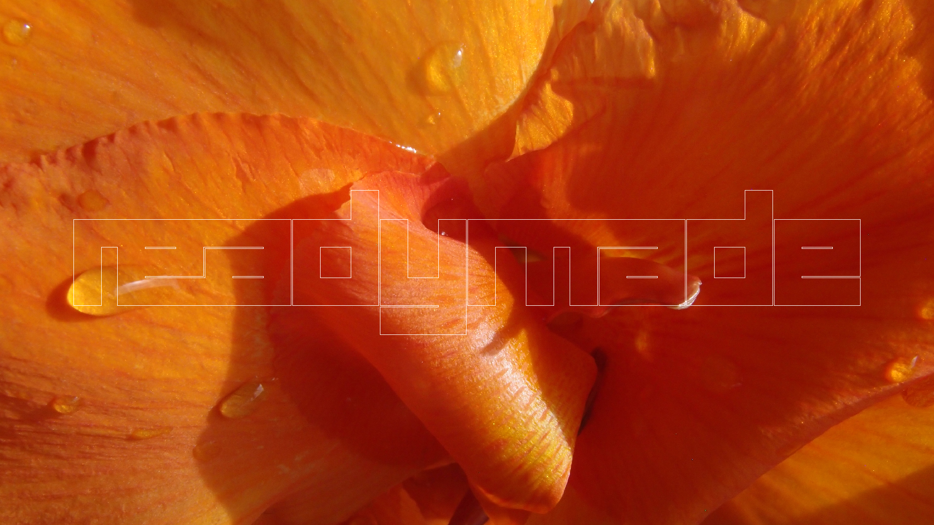 2022-04-17 Wind auf dem Meer (Audio, Foto, Video)