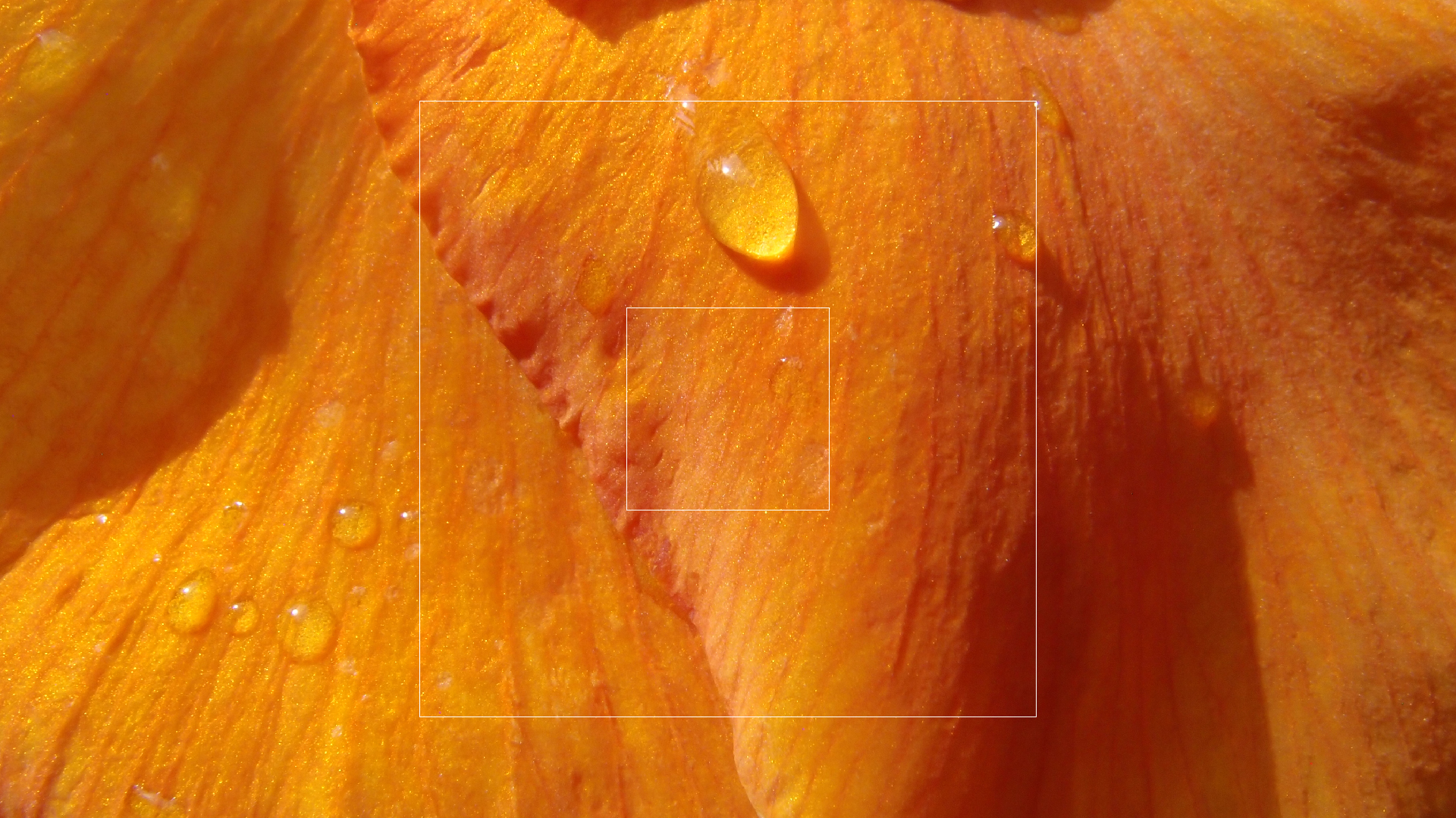 2022-04-17 Wind auf dem Meer (Audio, Foto, Video)