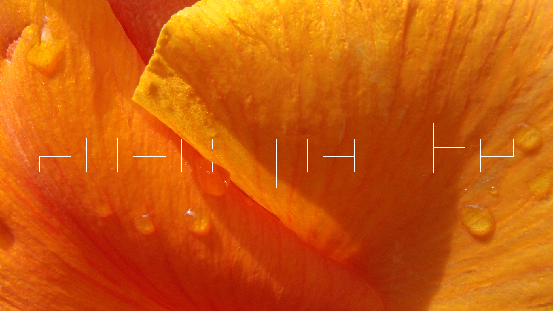 2022-04-17 Wind auf dem Meer (Audio, Foto, Video)