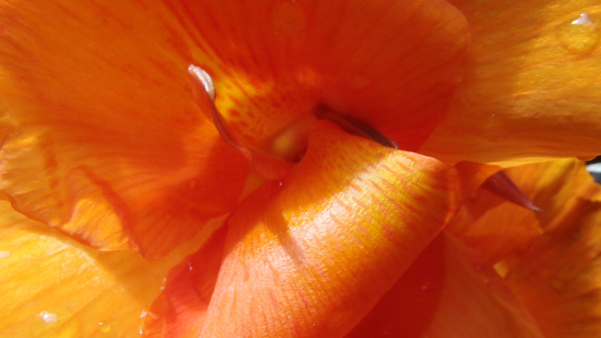 2022-04-17 Wind auf dem Meer (Audio, Foto, Video)