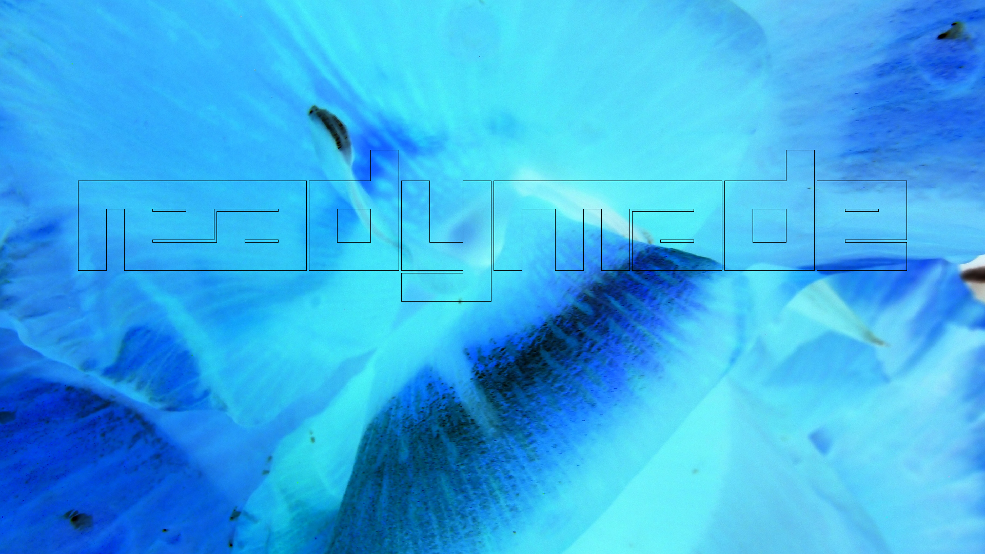 2022-04-17 Wind auf dem Meer (Audio, Foto, Video)