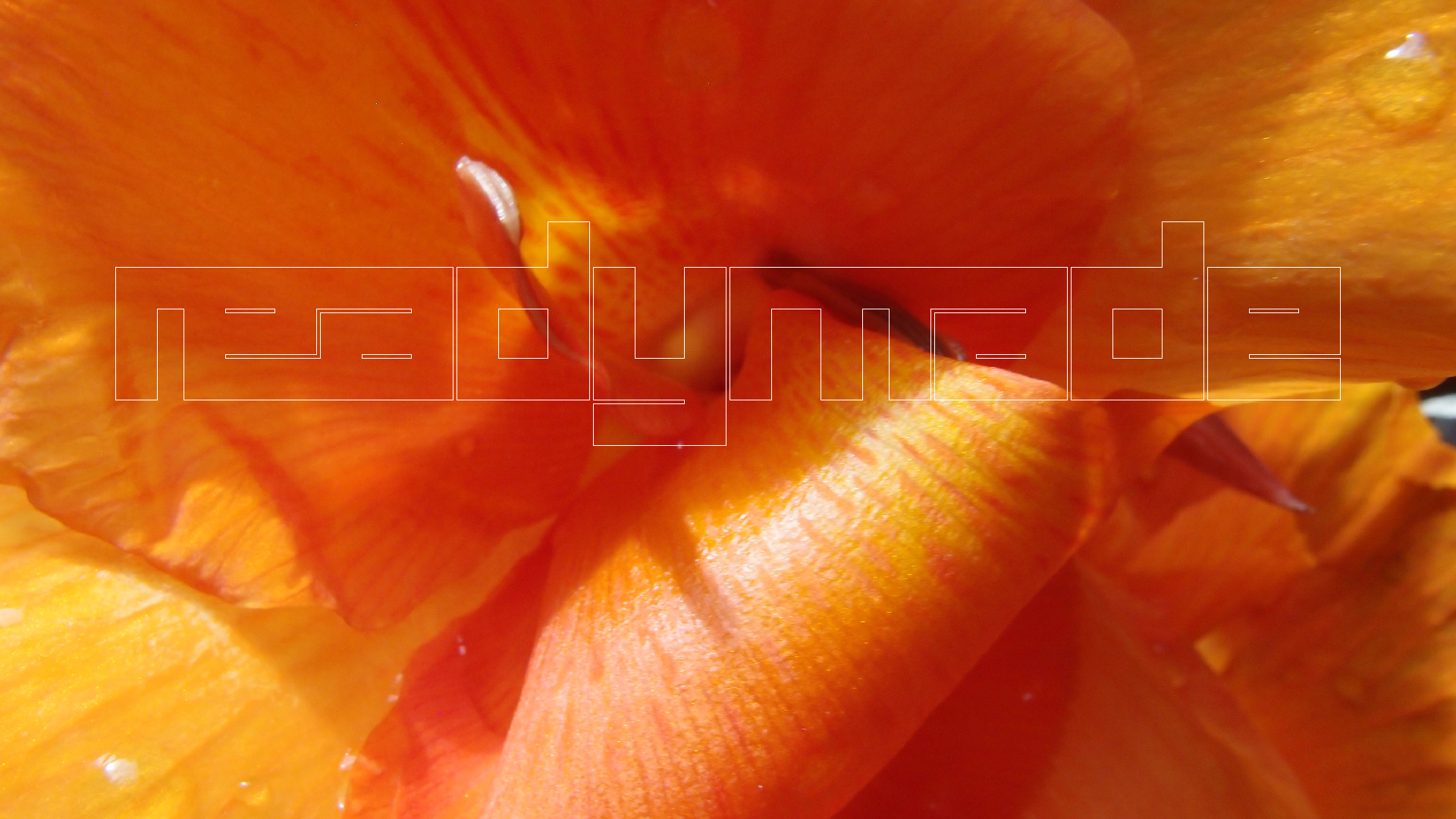 2022-04-17 Wind auf dem Meer (Audio, Foto, Video)