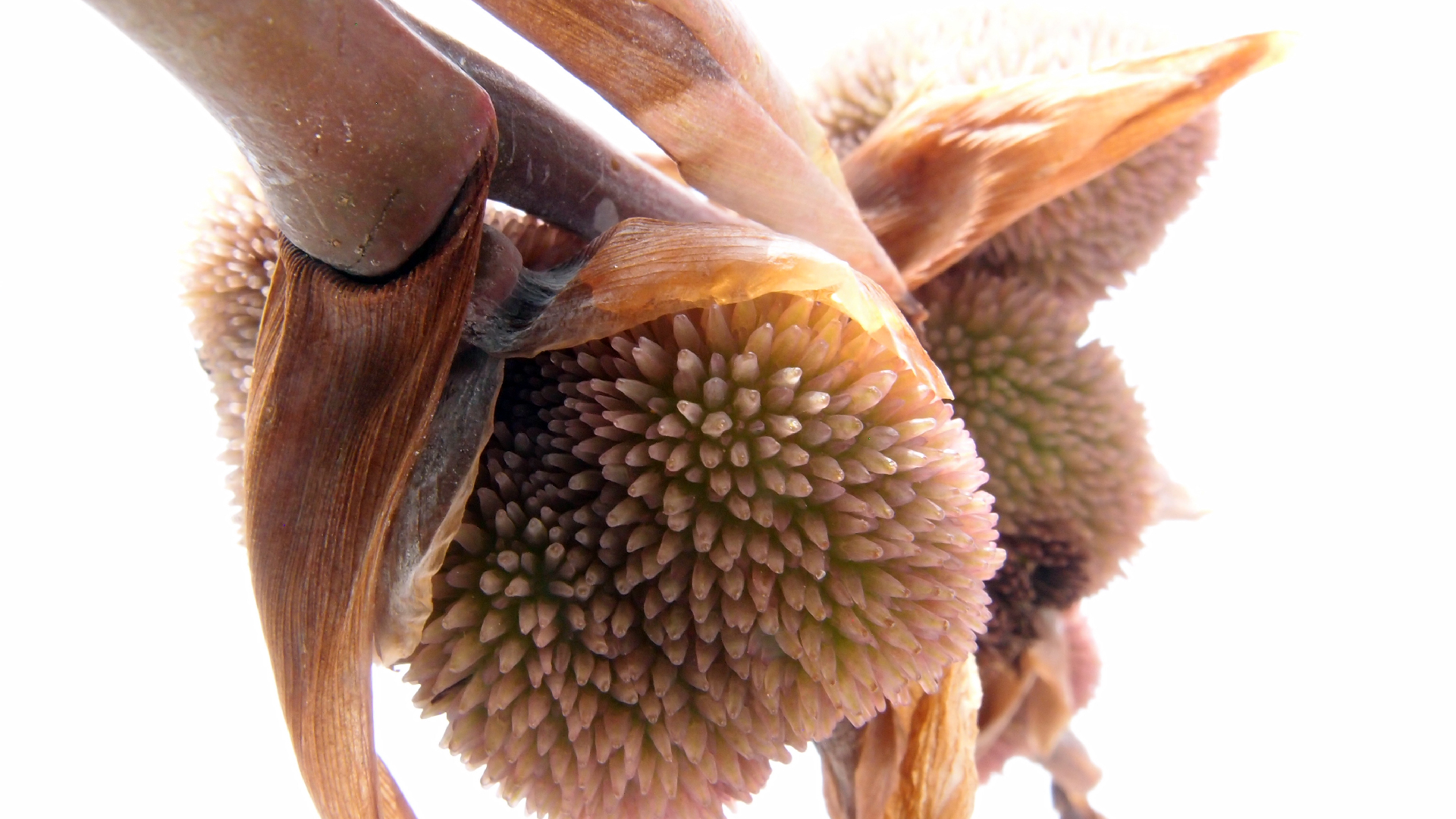 2022-04-17 Wind auf dem Meer (Audio, Foto, Video)