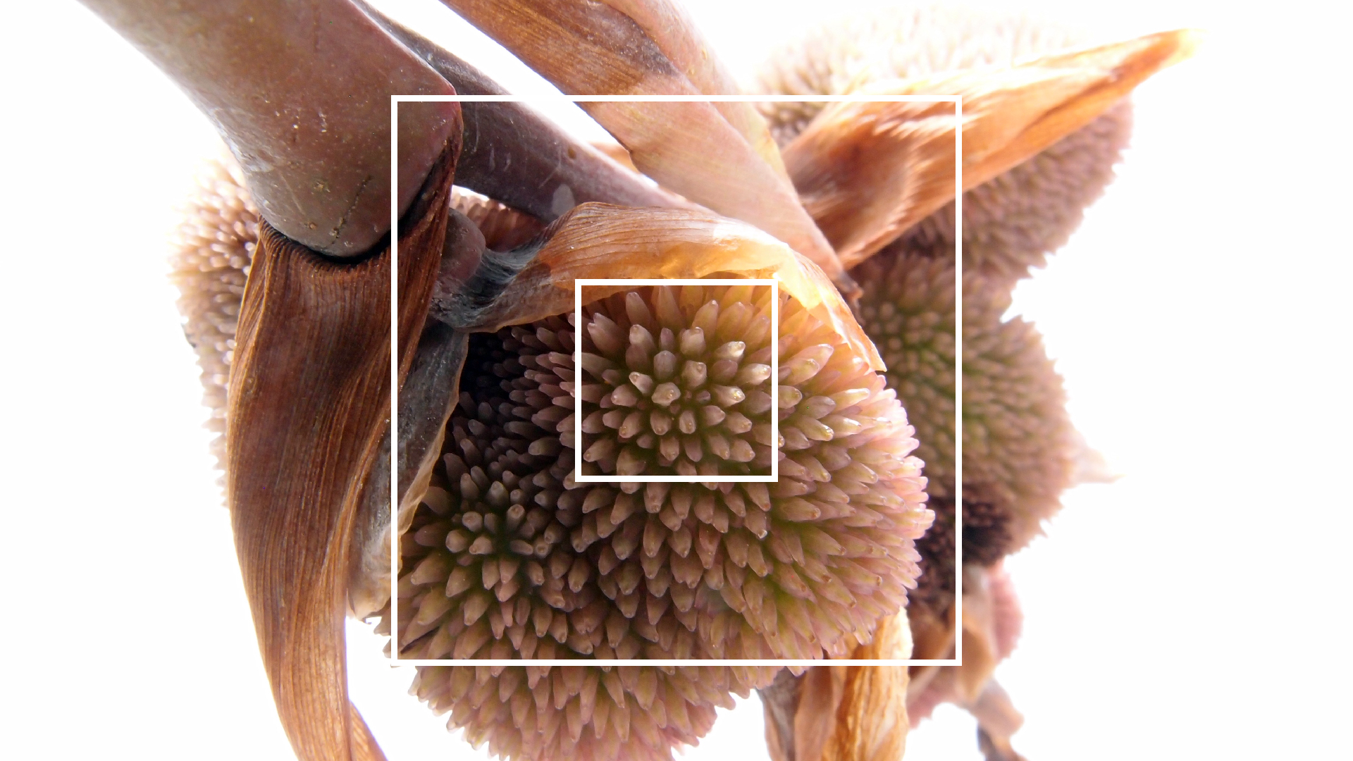 2022-04-17 Wind auf dem Meer (Audio, Foto, Video)