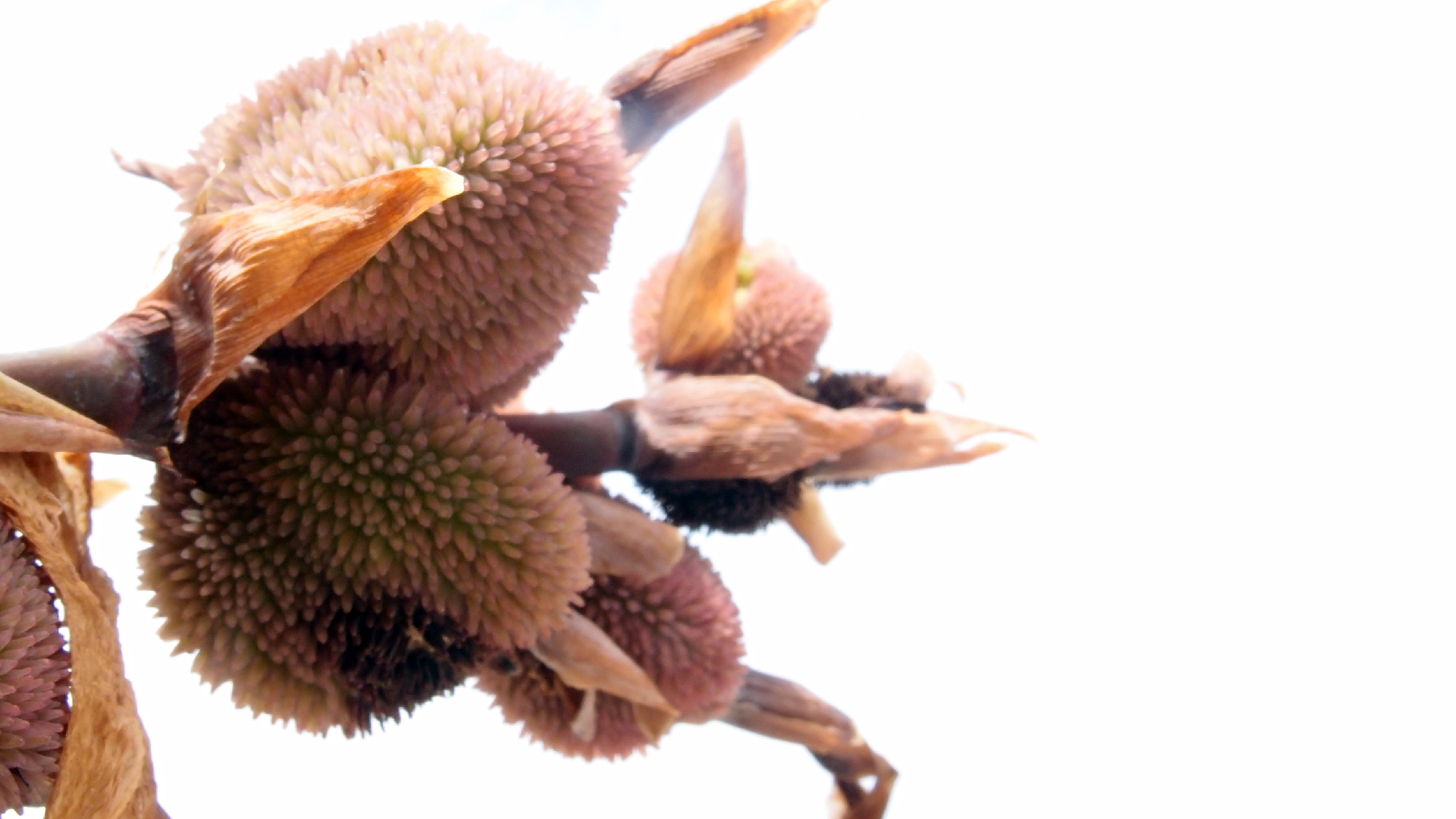 2022-04-17 Wind auf dem Meer (Audio, Foto, Video)