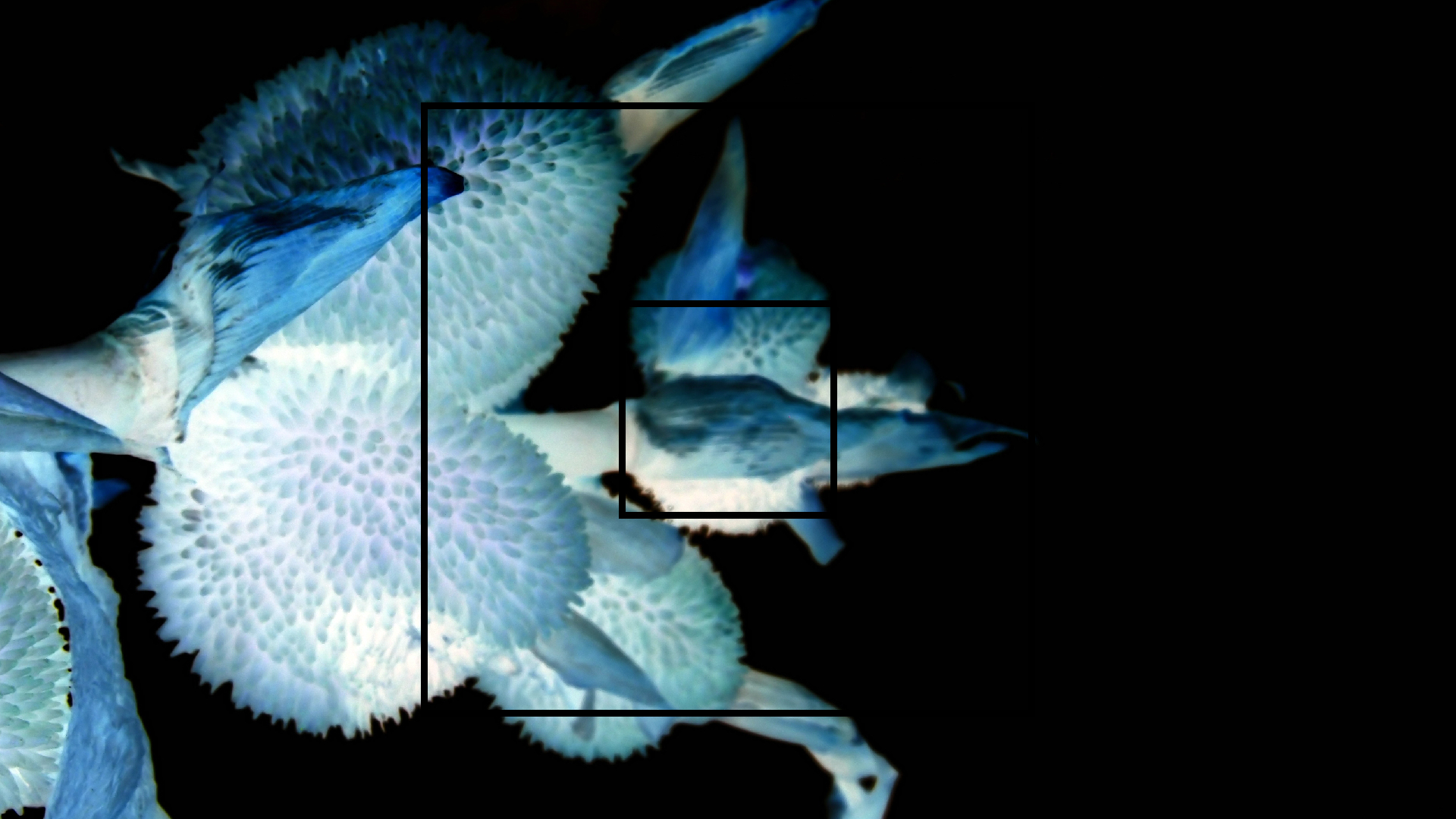 2022-04-17 Wind auf dem Meer (Audio, Foto, Video)