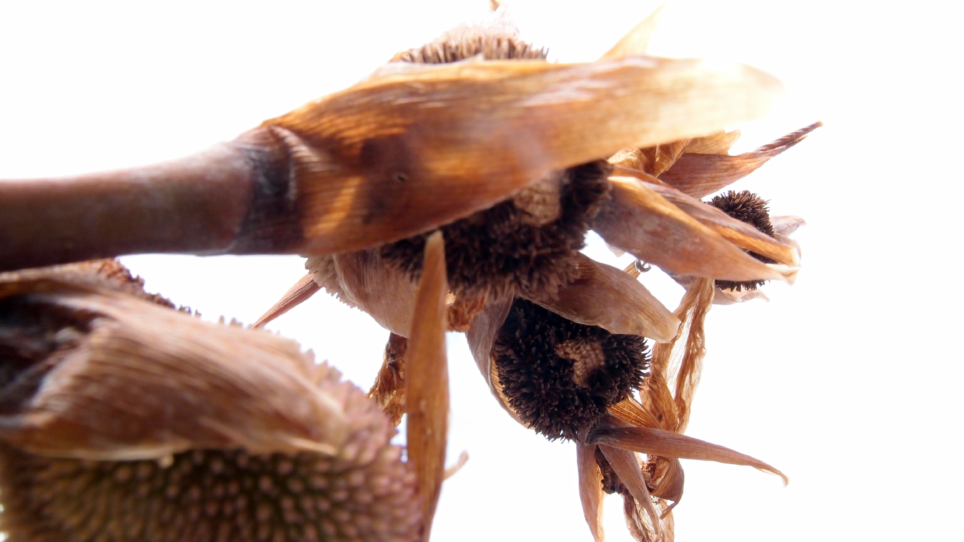 2022-04-17 Wind auf dem Meer (Audio, Foto, Video)