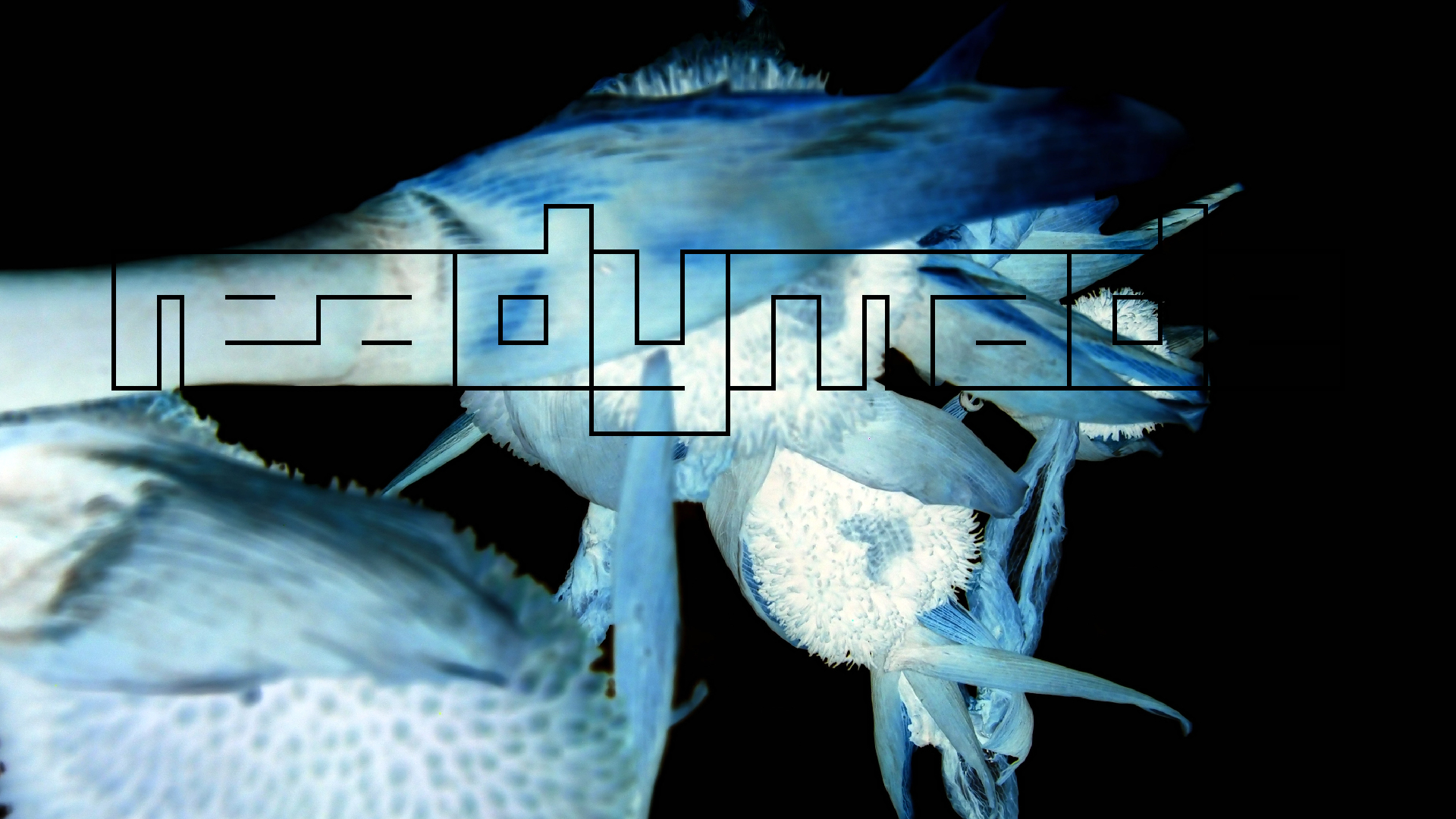 2022-04-17 Wind auf dem Meer (Audio, Foto, Video)